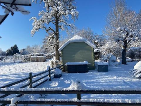 PINE COTTAGE- 5 minutes Francorchamps - charme -piscine-calme-jardin