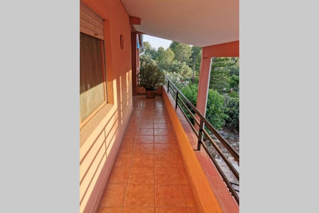 Villa Célia Alzira