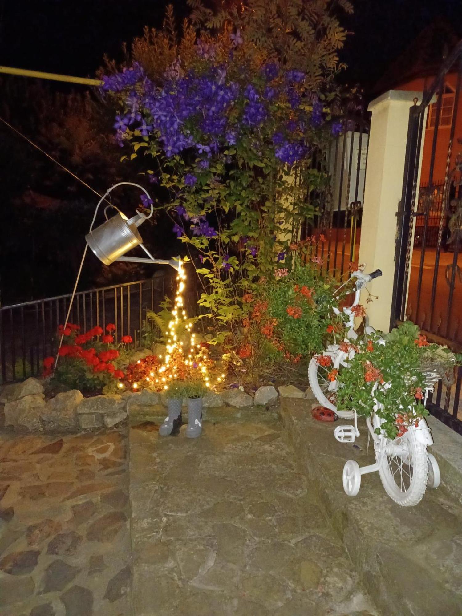 Photo 33