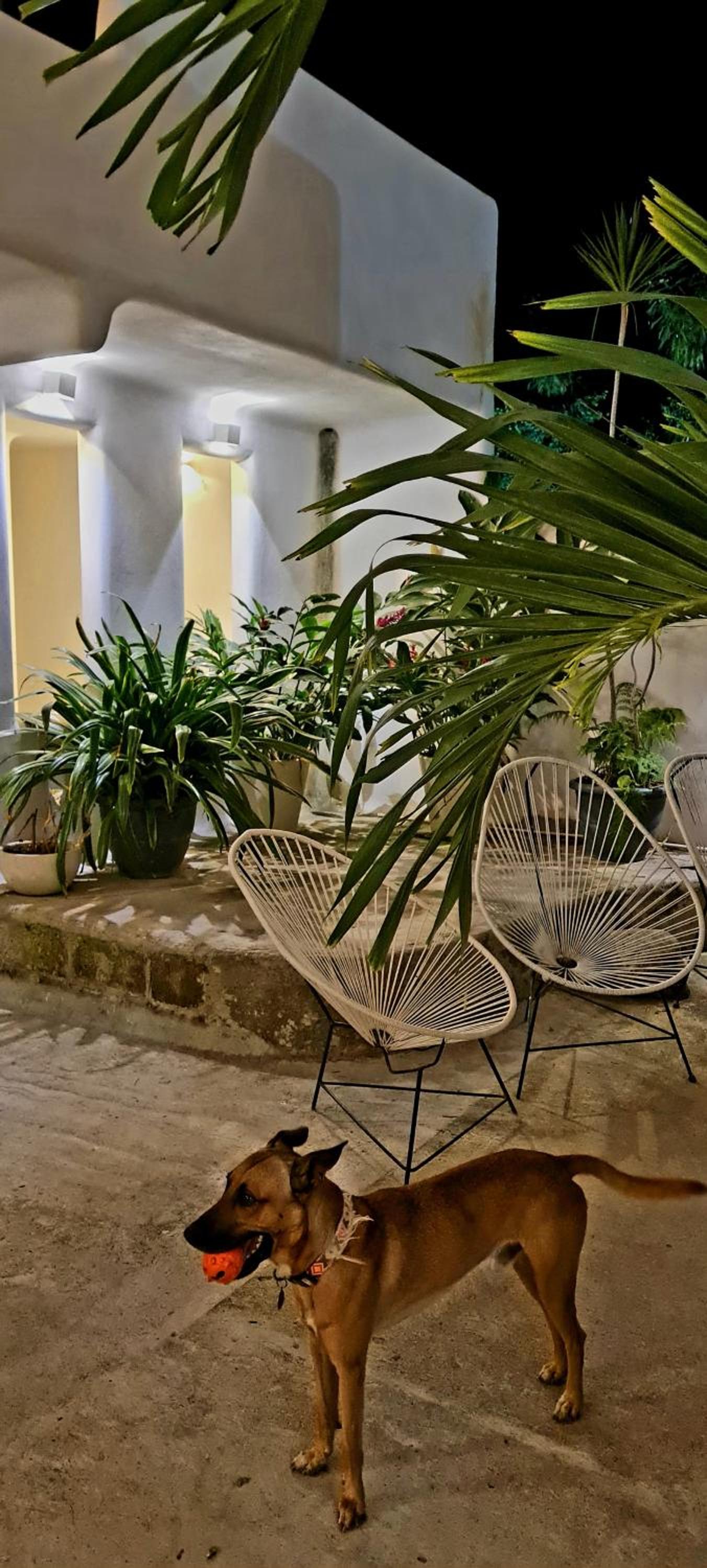 Photo 10