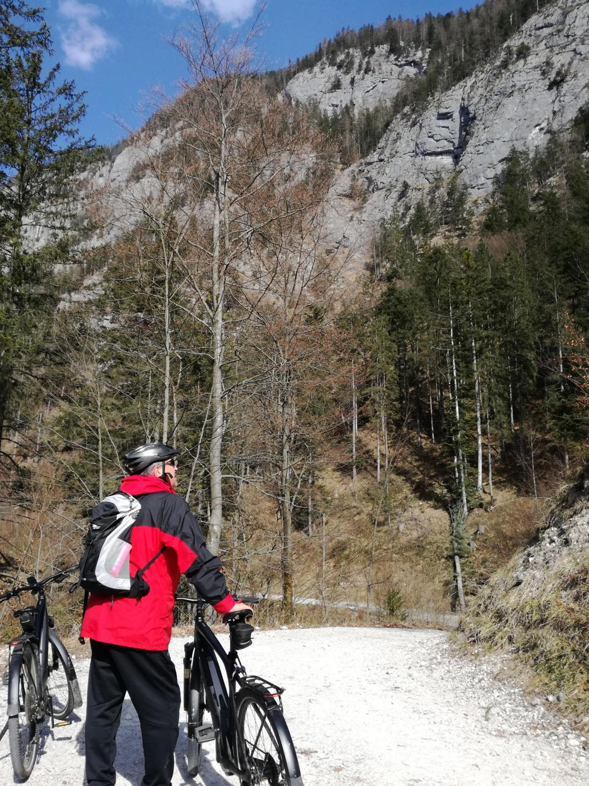 Seehof Royer