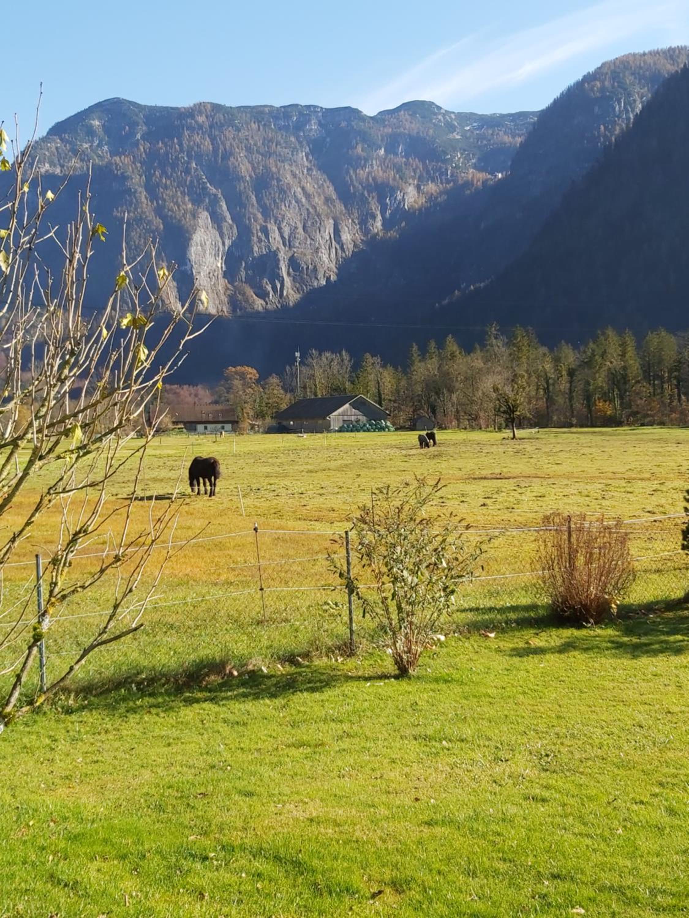 Seehof Royer