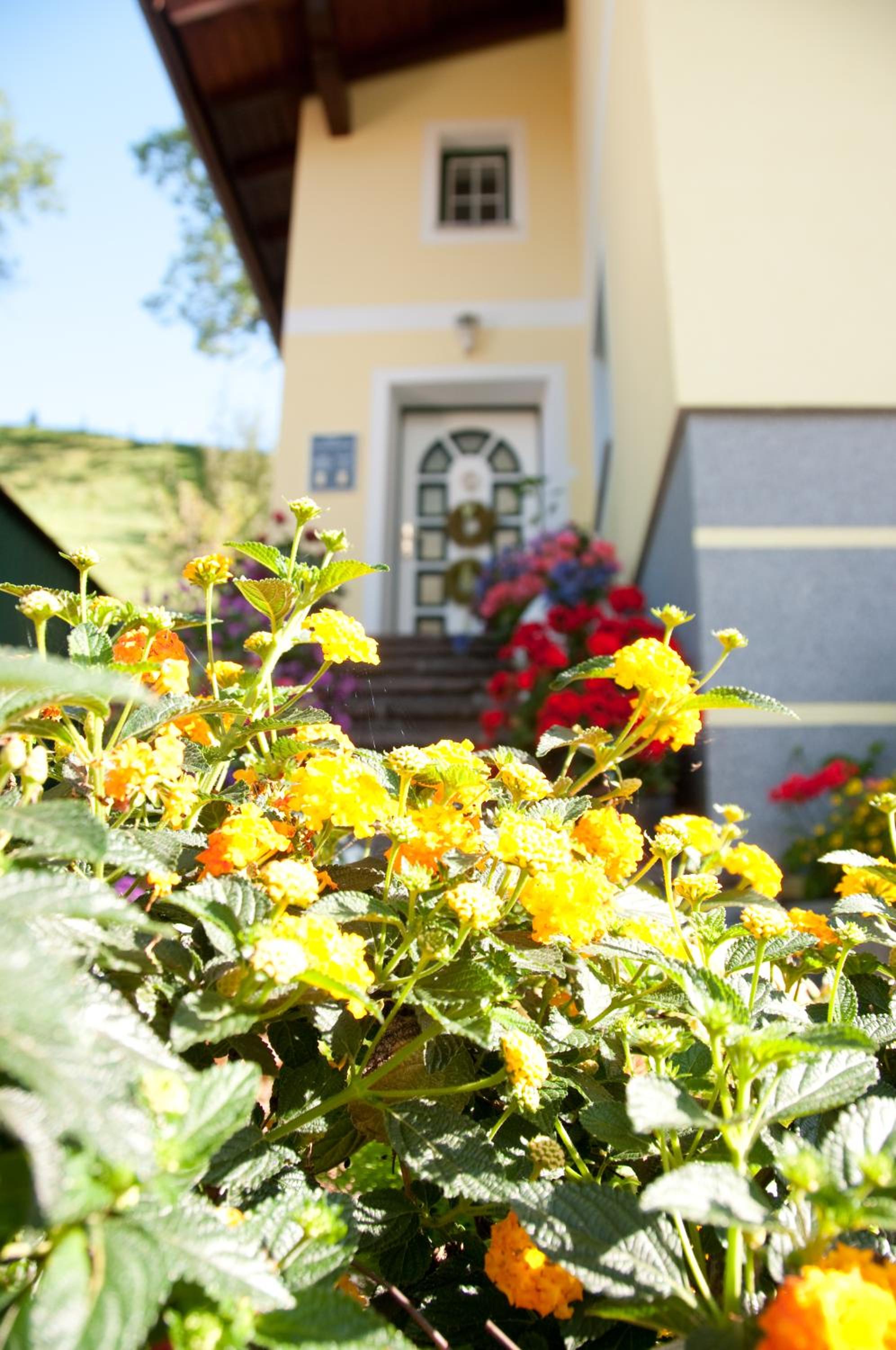 Haus Fritzenwallner Appartement 1