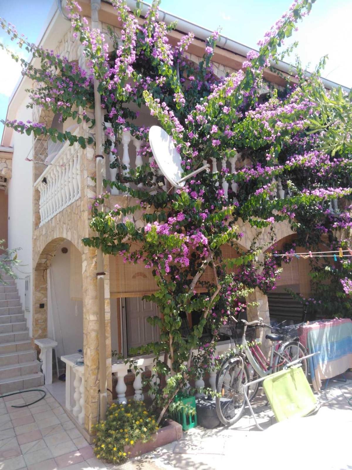 Apartman Ivica view 3