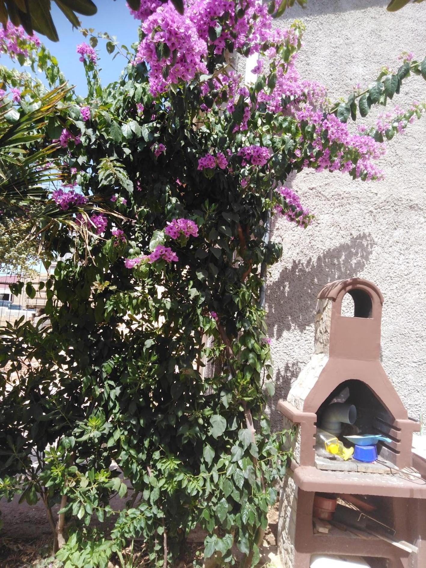 Apartman Ivica view 4