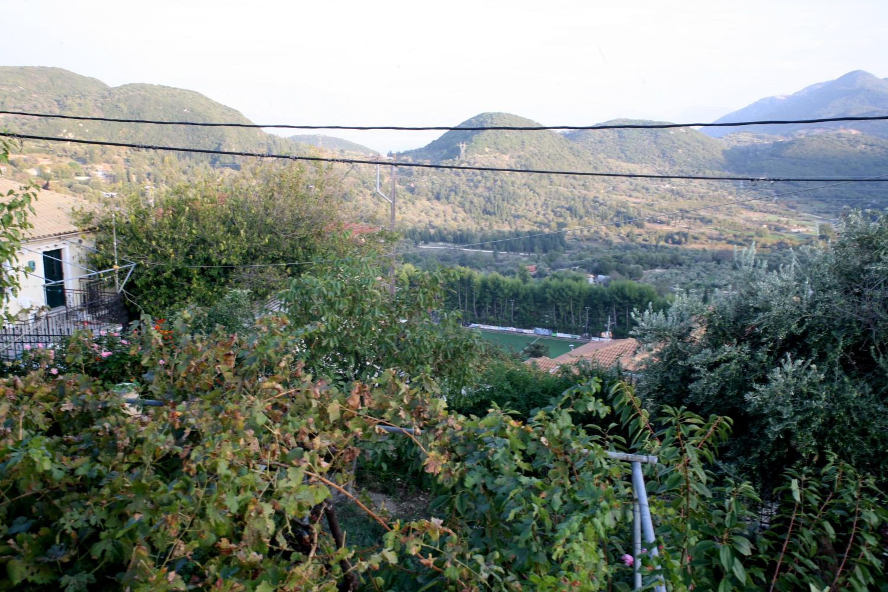 Photo 41