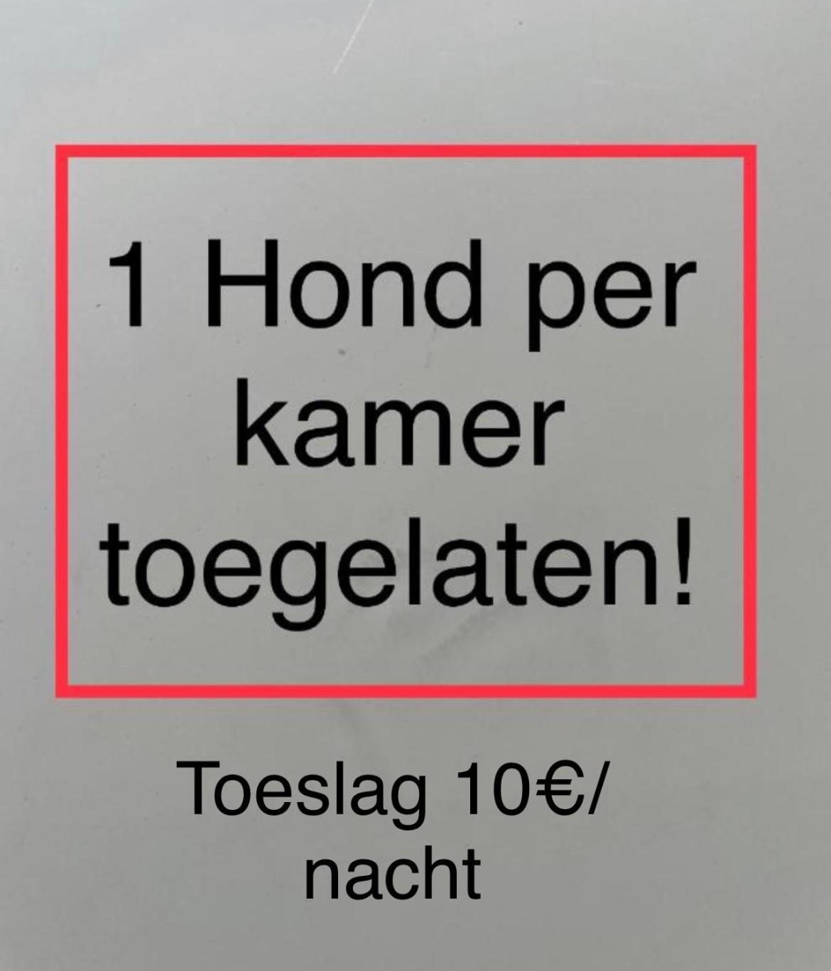 B&B De Notelaar