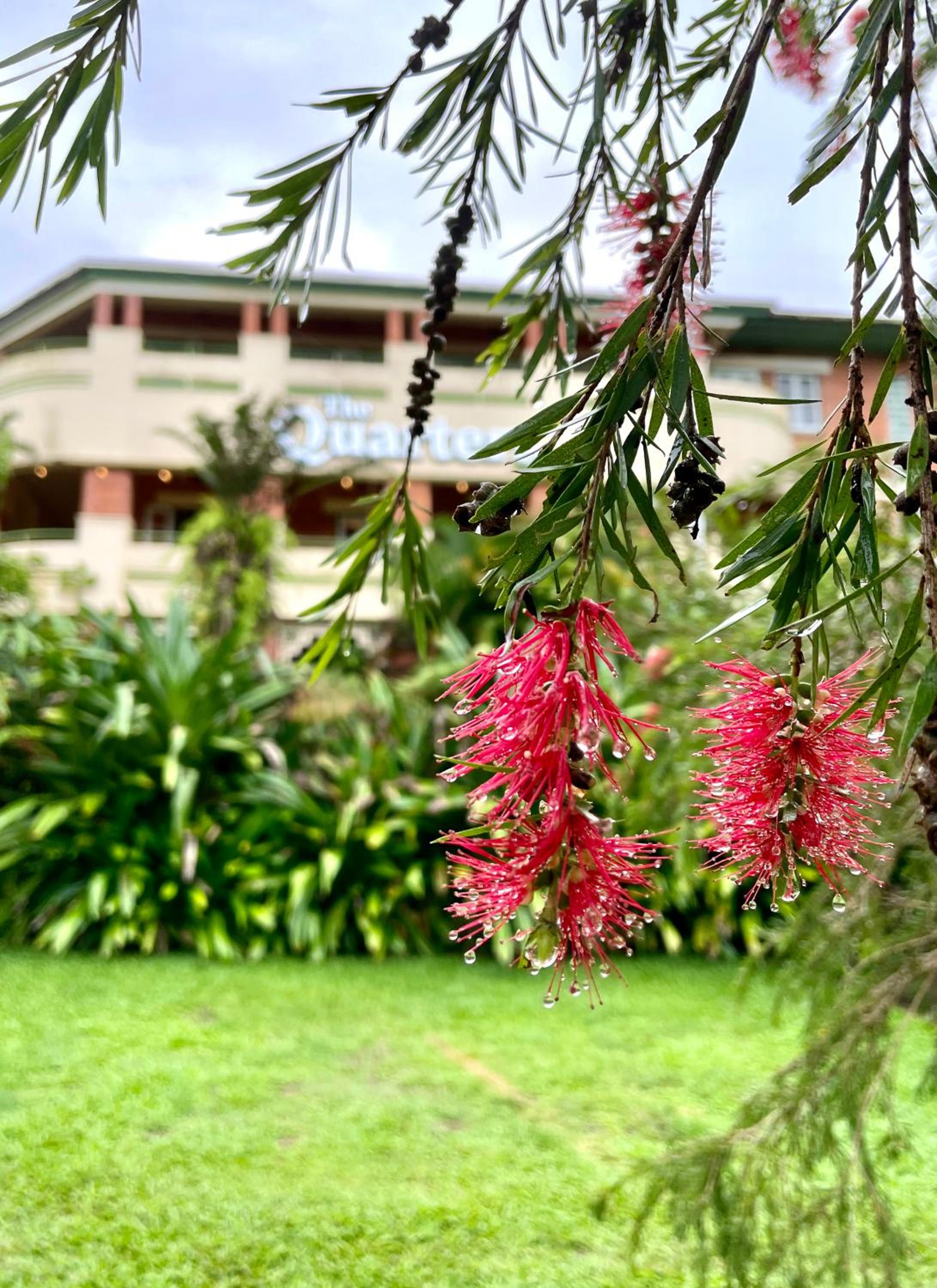 Babinda Quarters