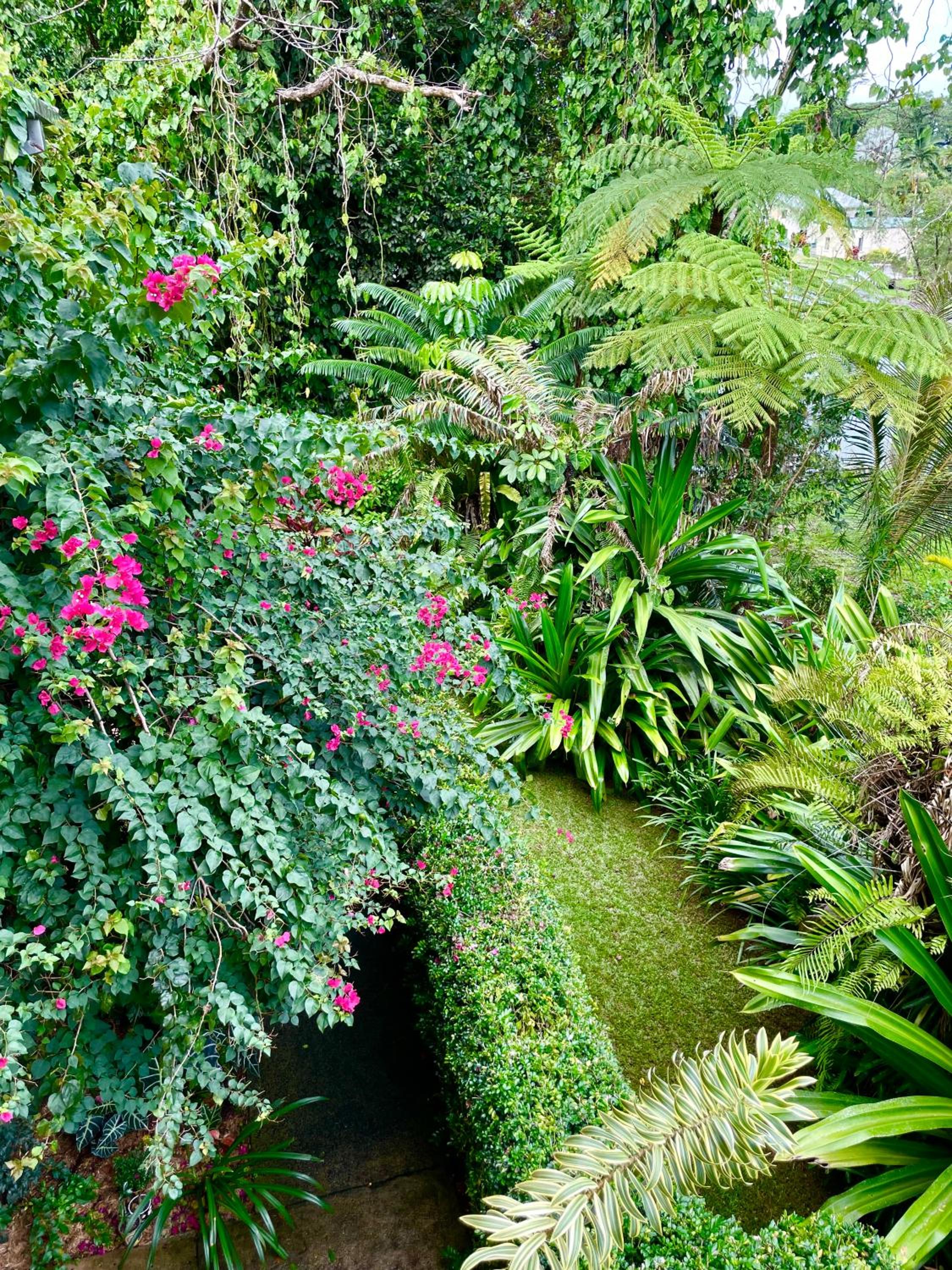 Babinda Quarters