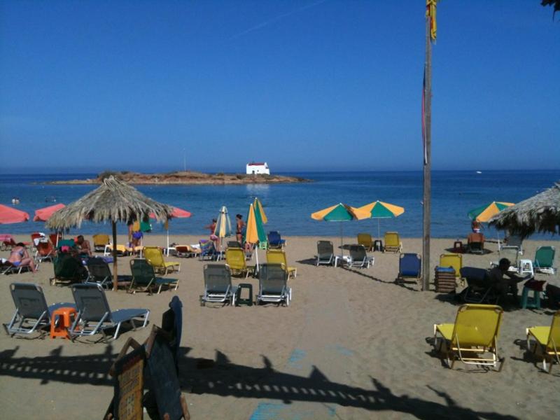 Dolphin Studios photo 5