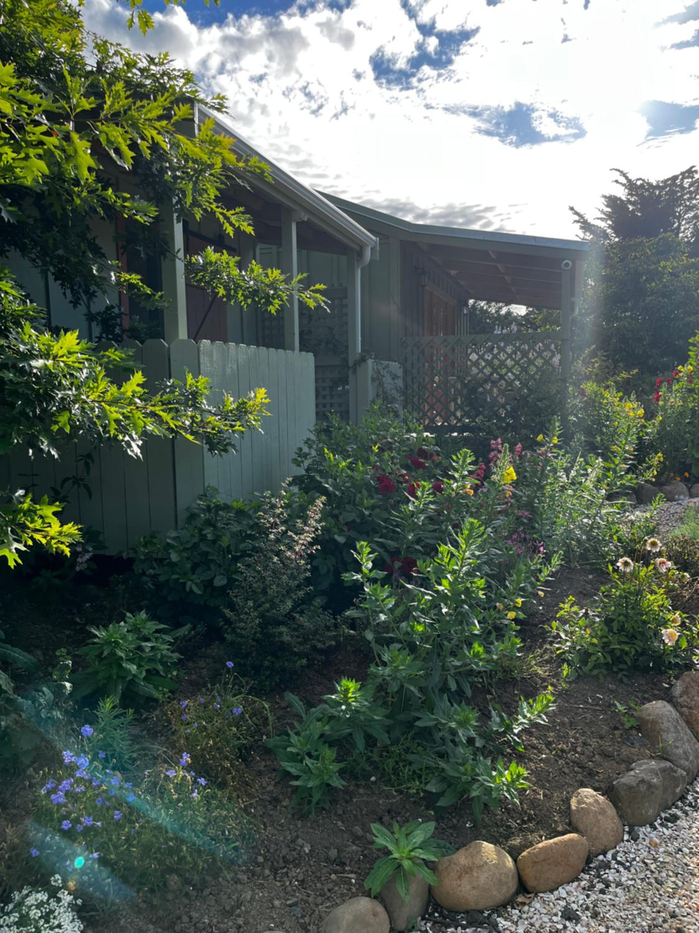 Wisteria Way view 4