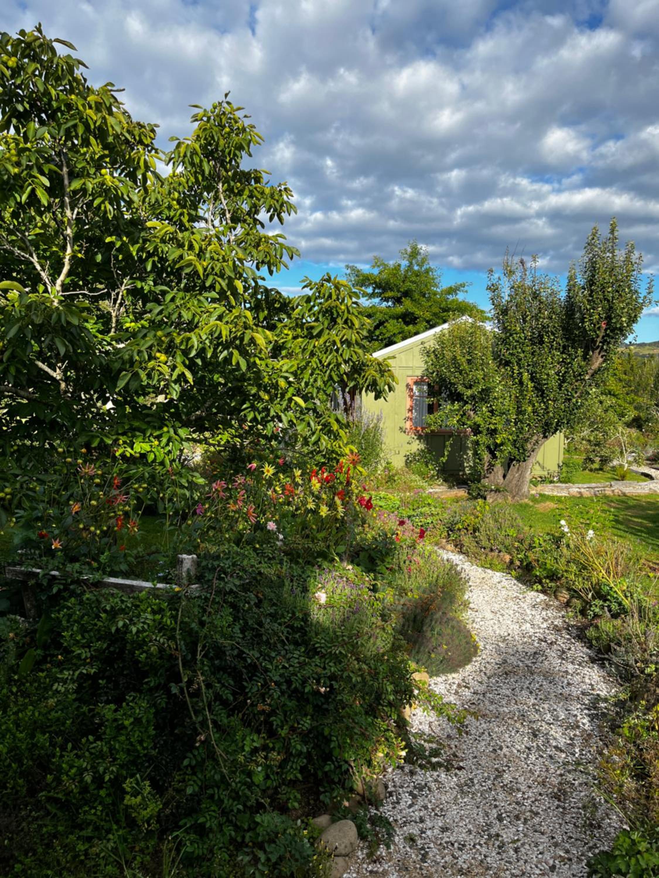 Wisteria Way view 5