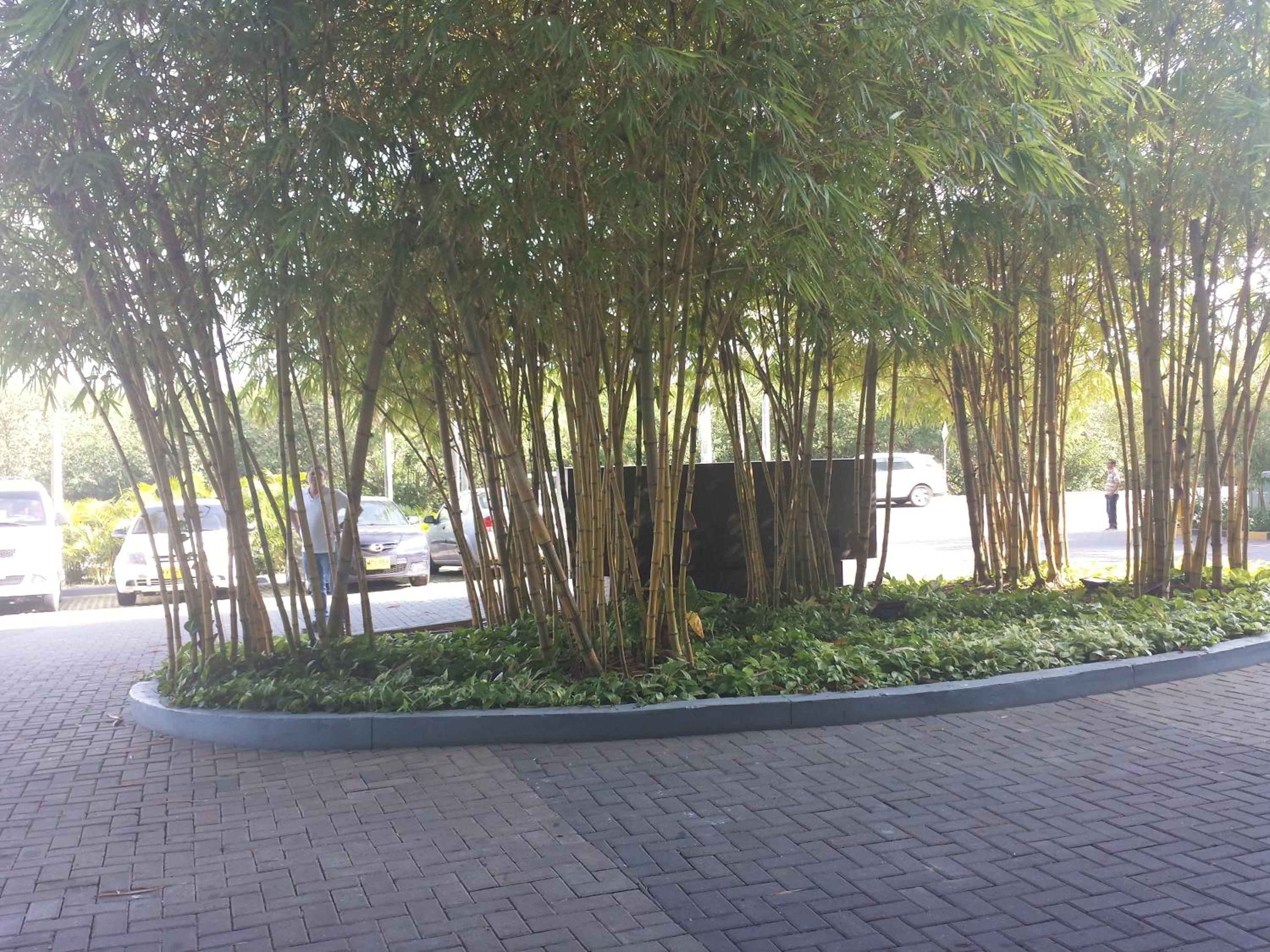 Photo 44