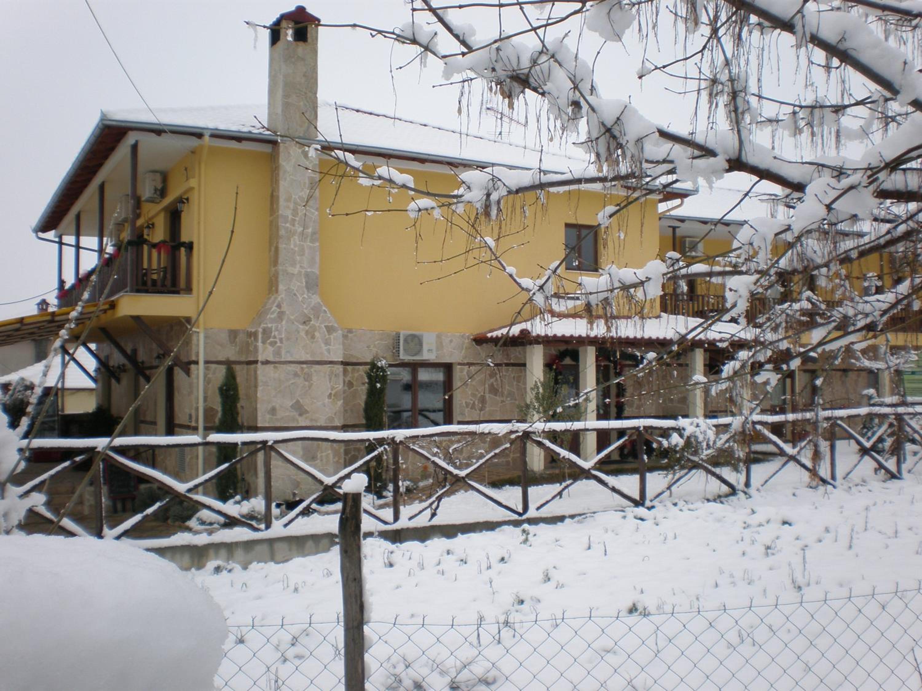 Photo 11
