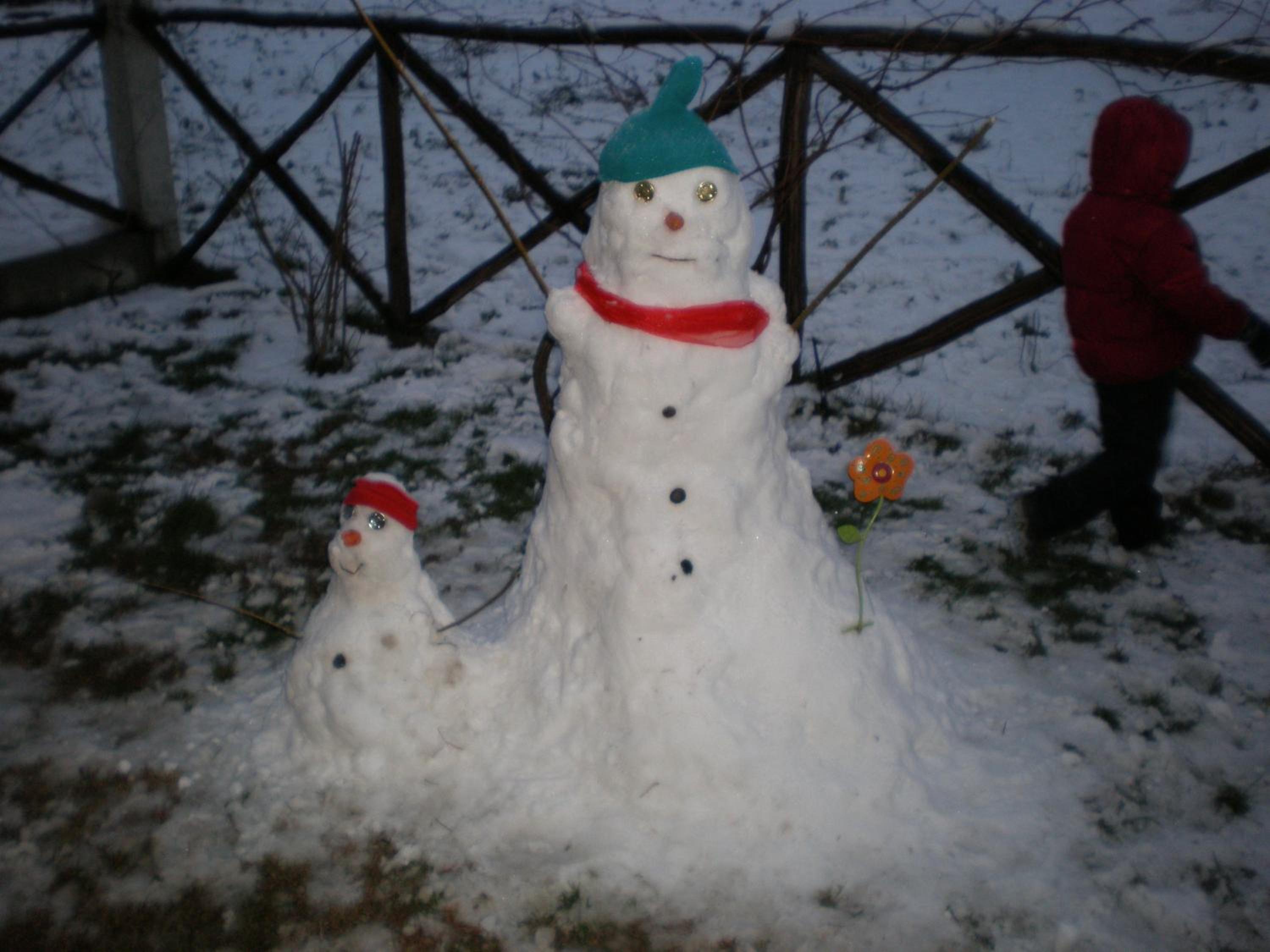 Photo 12