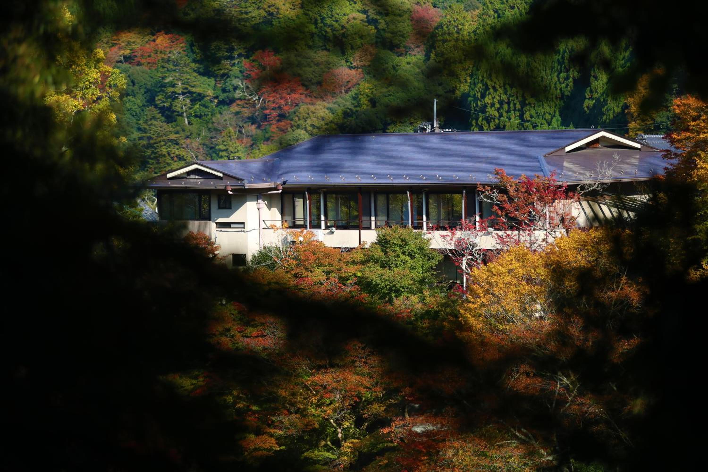 Momijiya Honkan Takaosansou view 2