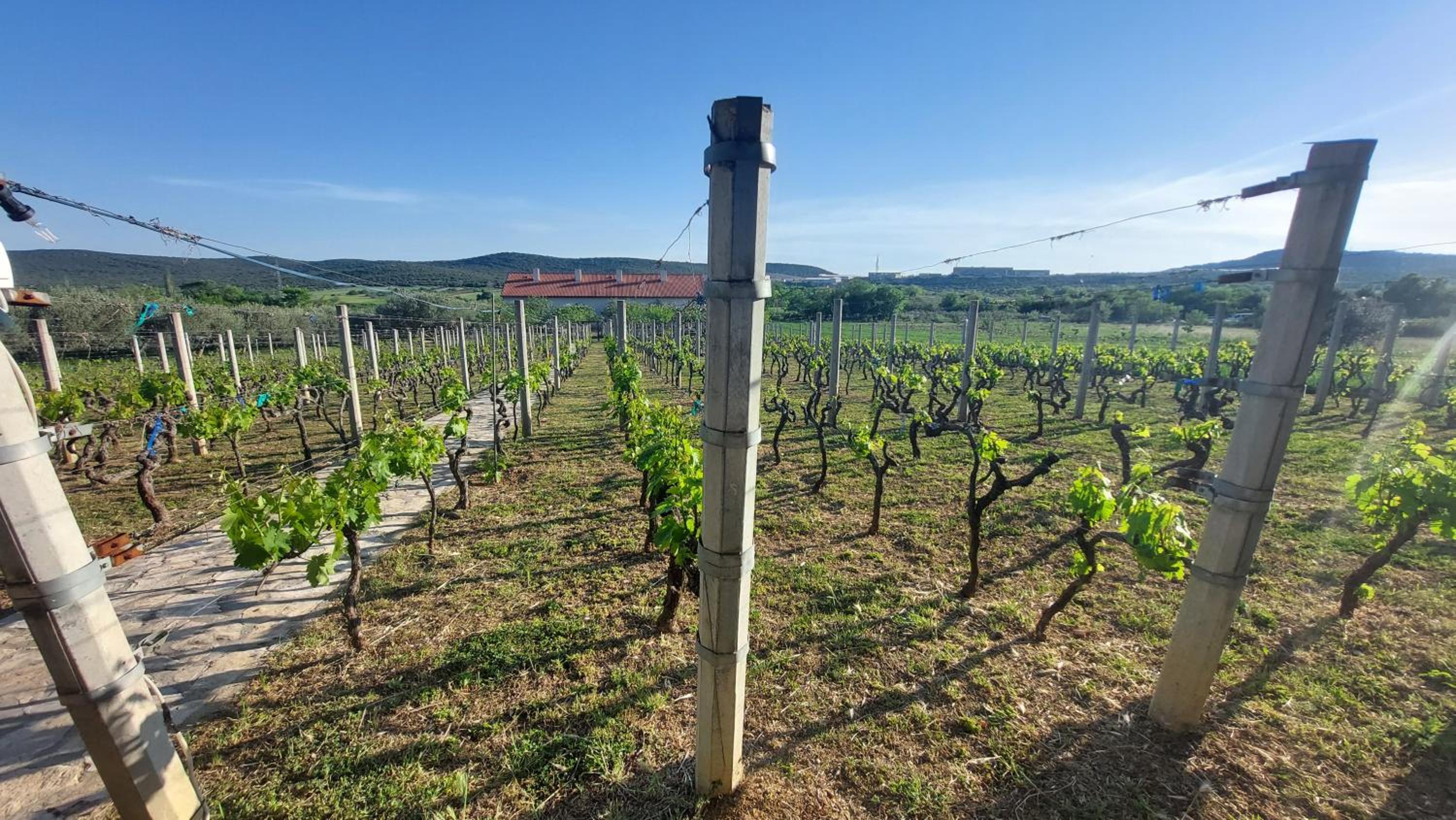 Photo 34