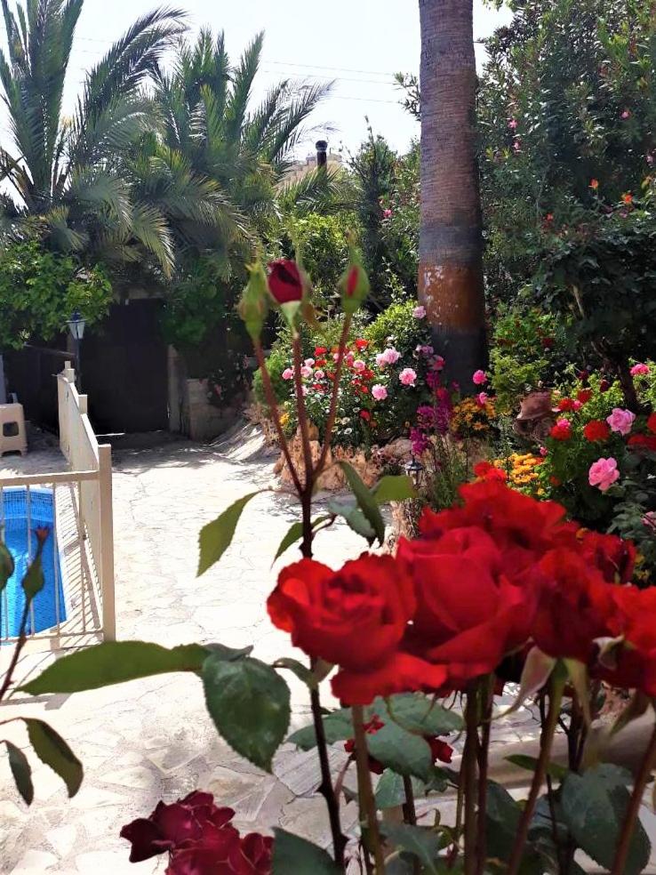 Rose Garden Villa Peristerona