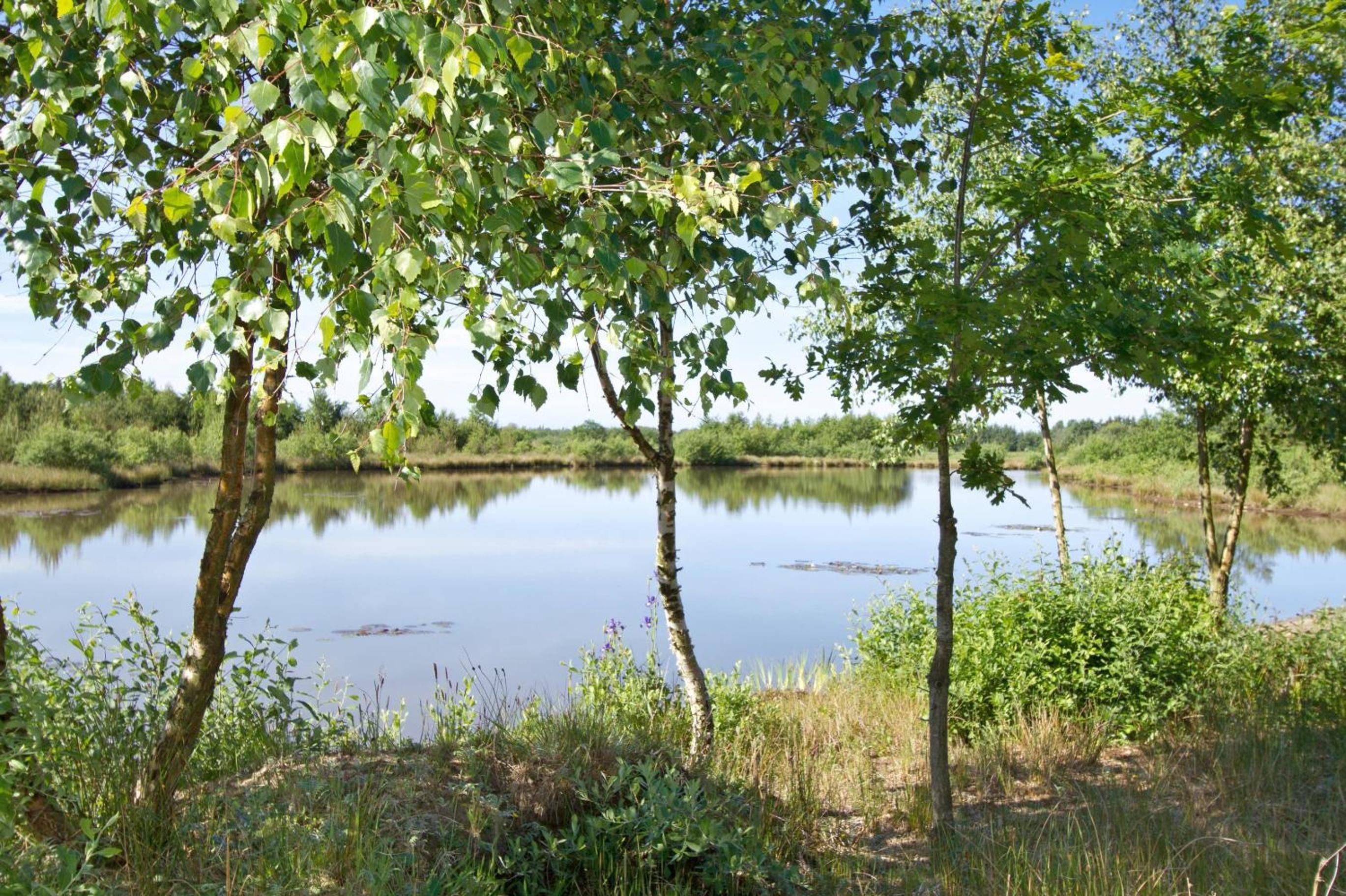 Egebjerggaard Bed & Breakfast