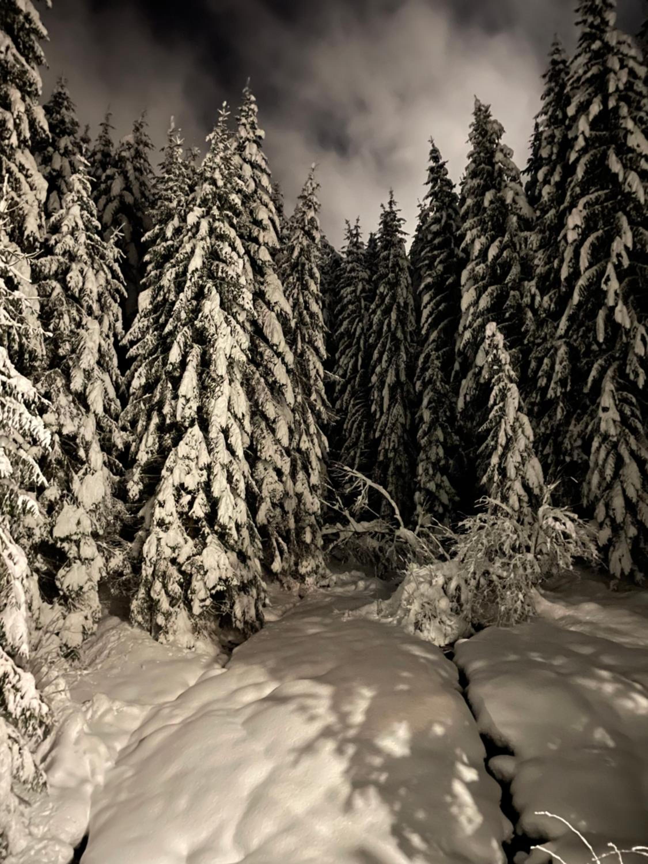 Photo 24