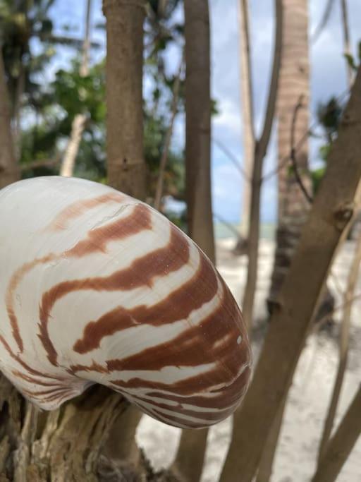 Marahuyo - Off-grid, beachfront, private cabin