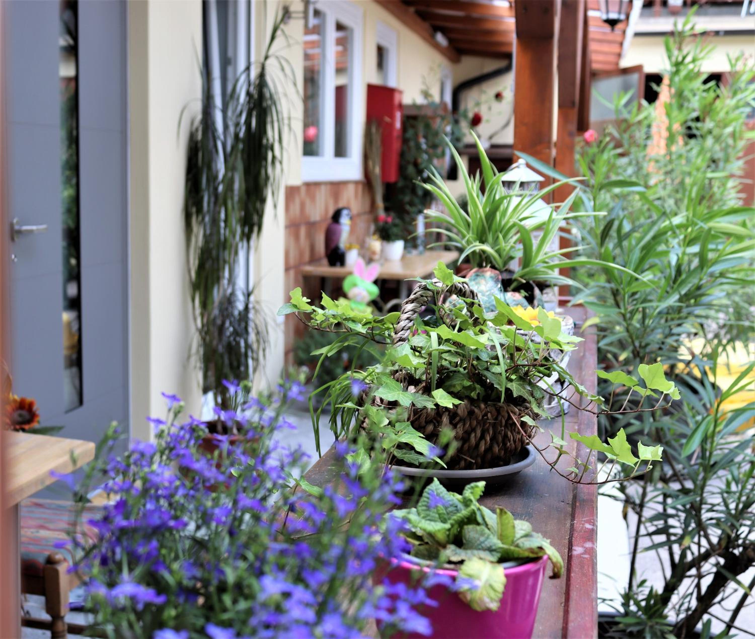 Appartement ROSalia