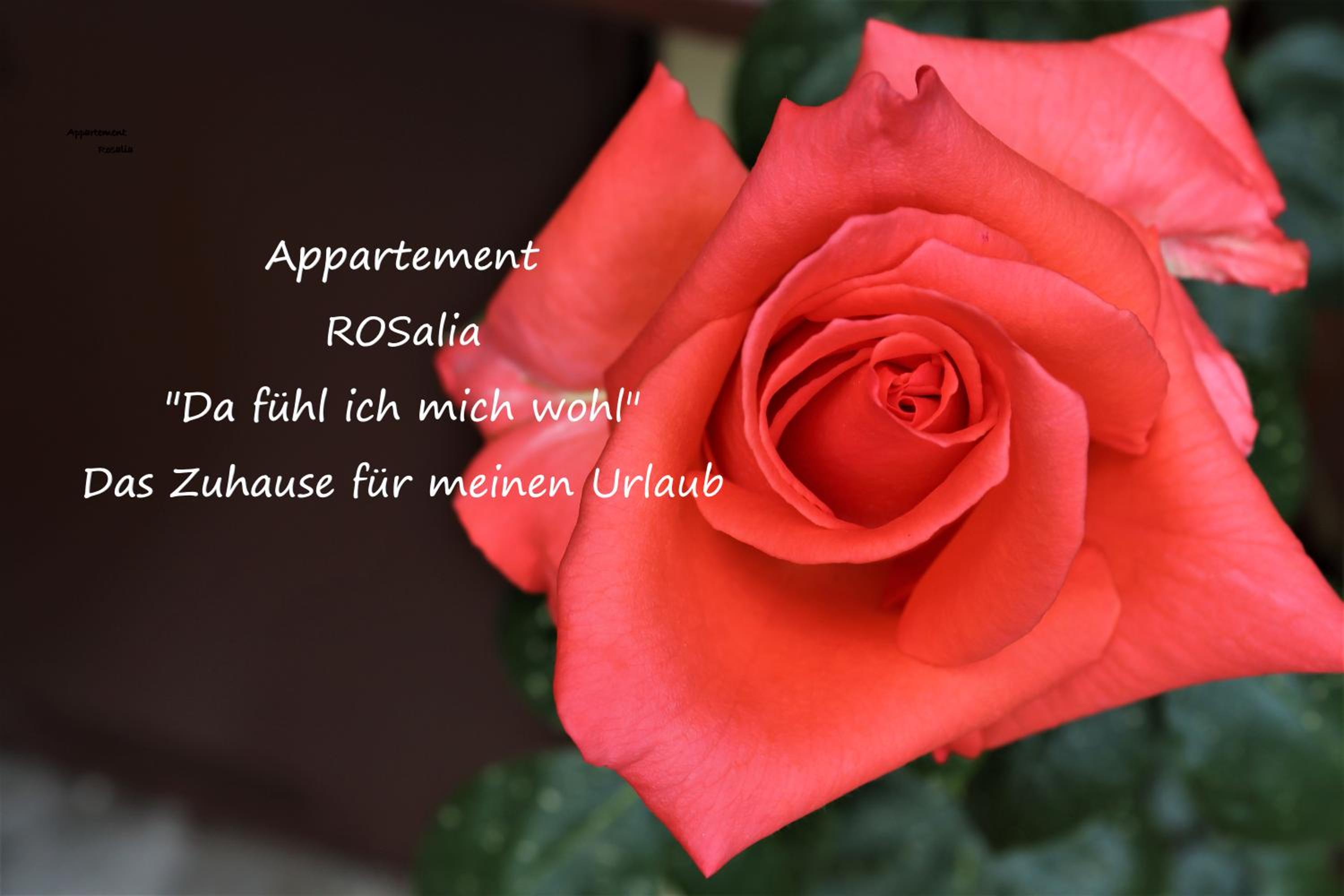 Appartement ROSalia