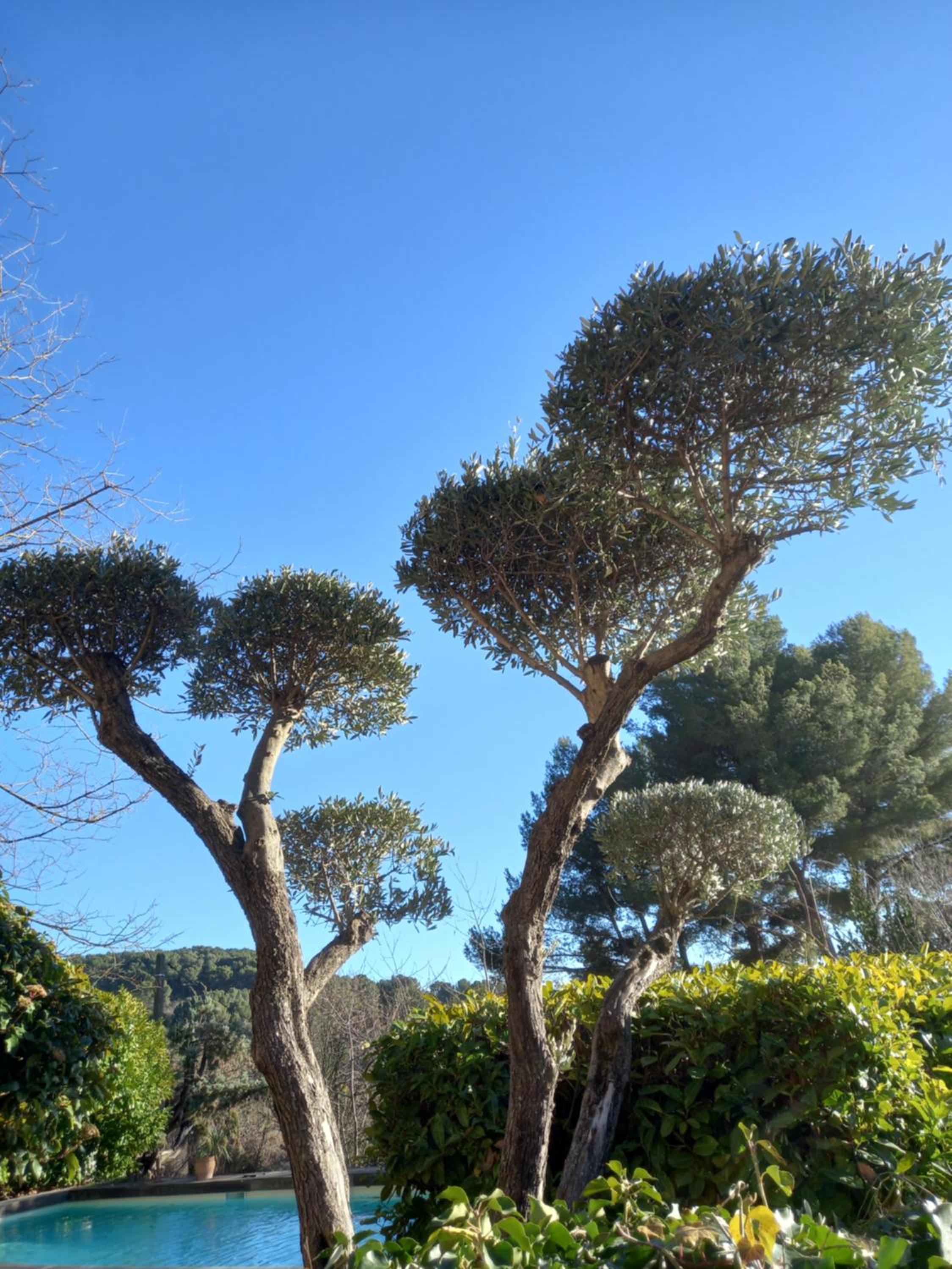 Le jardin de Sabine, photo 28