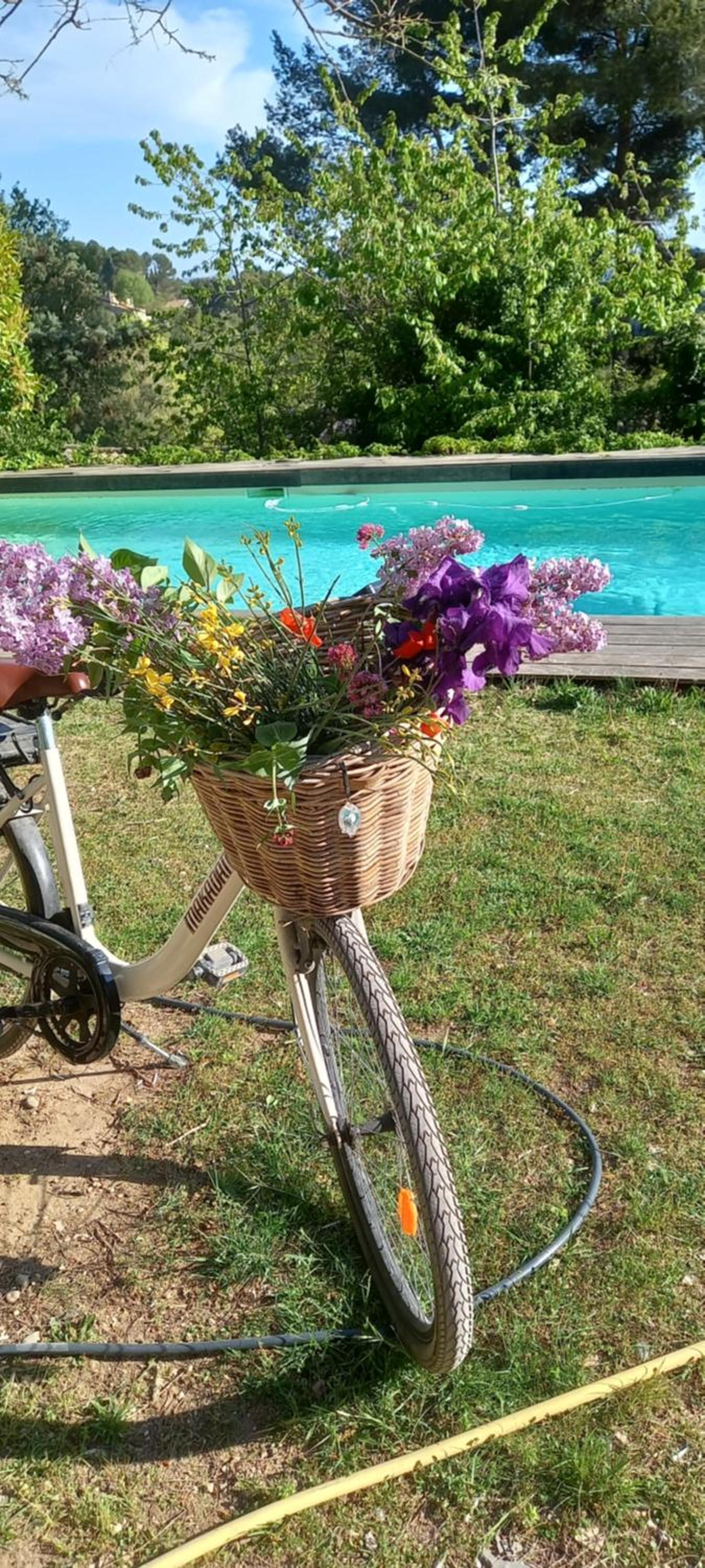 Le jardin de Sabine, photo 10