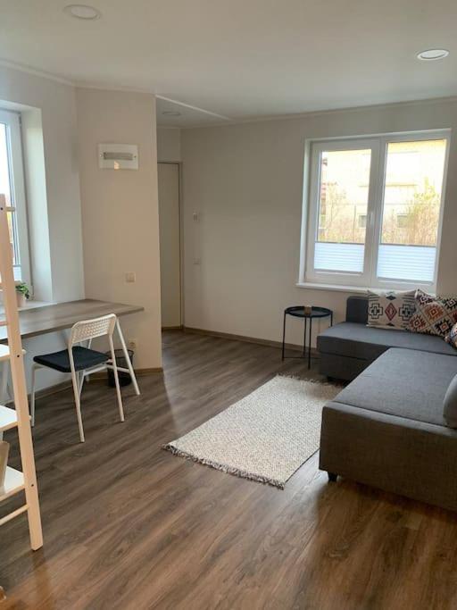 Cozy apartment in Karmelava view 4