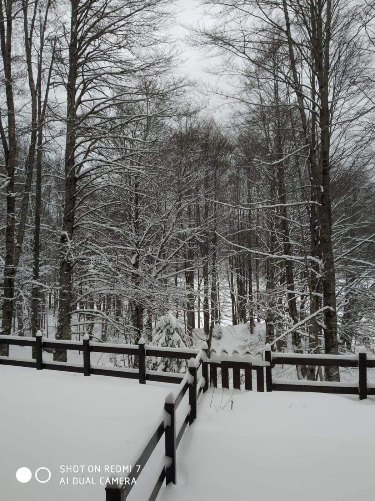 Casa nel bosco view 2