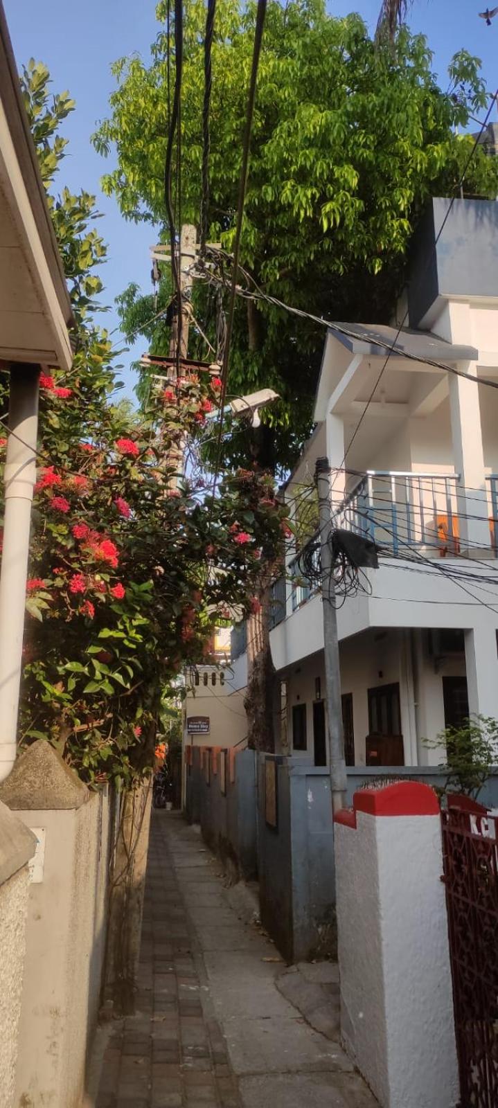 Je Sant O Casa Homestay view 3