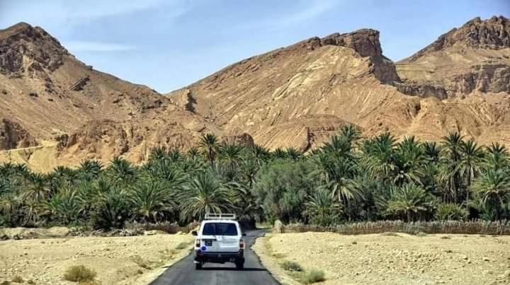 Villa Atlas Oasis view 5