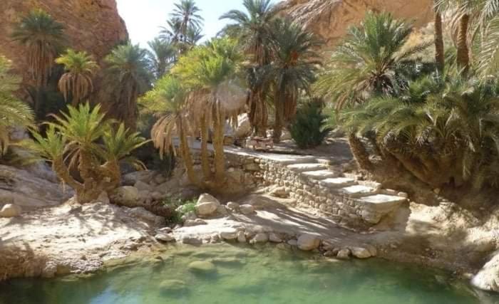 Villa Atlas Oasis view 2