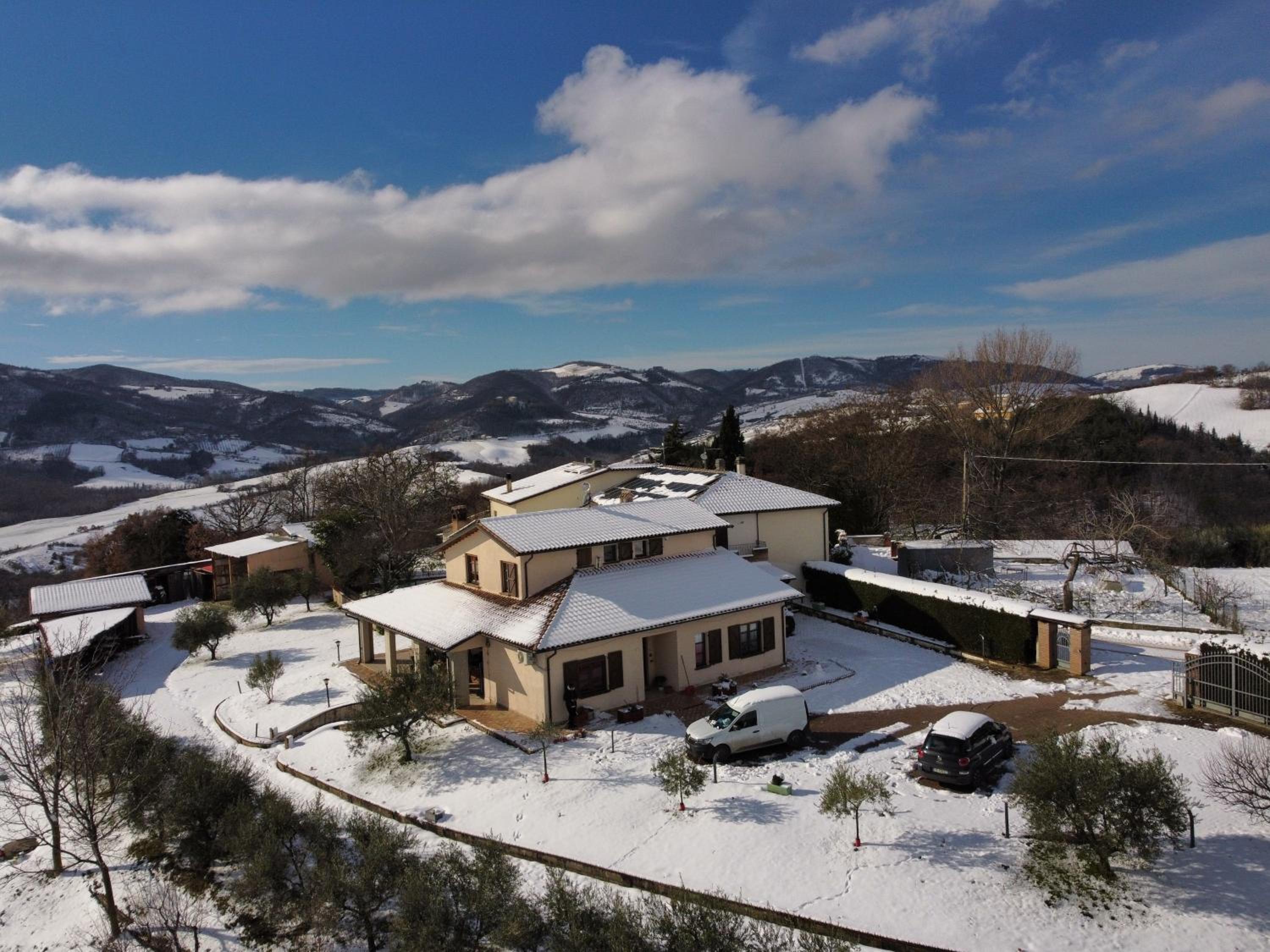 Casa vacanze fra gli ulivi