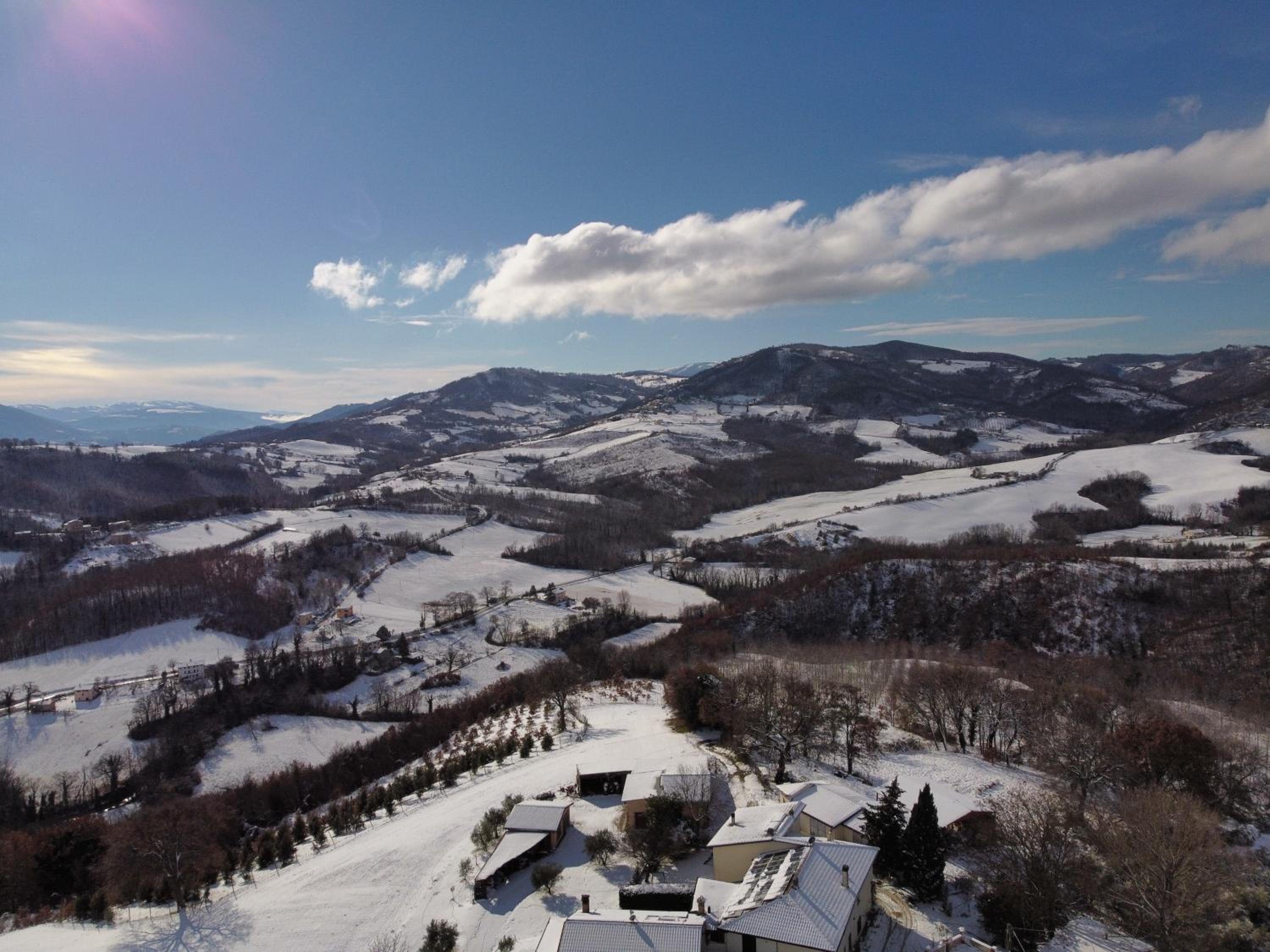 Casa vacanze fra gli ulivi