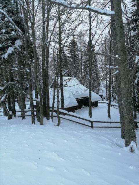 Koča Pastirica - Velika planina view 2