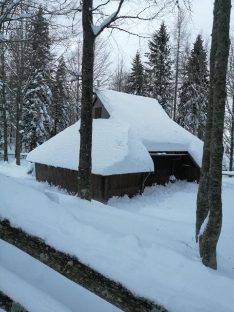 Photo 14