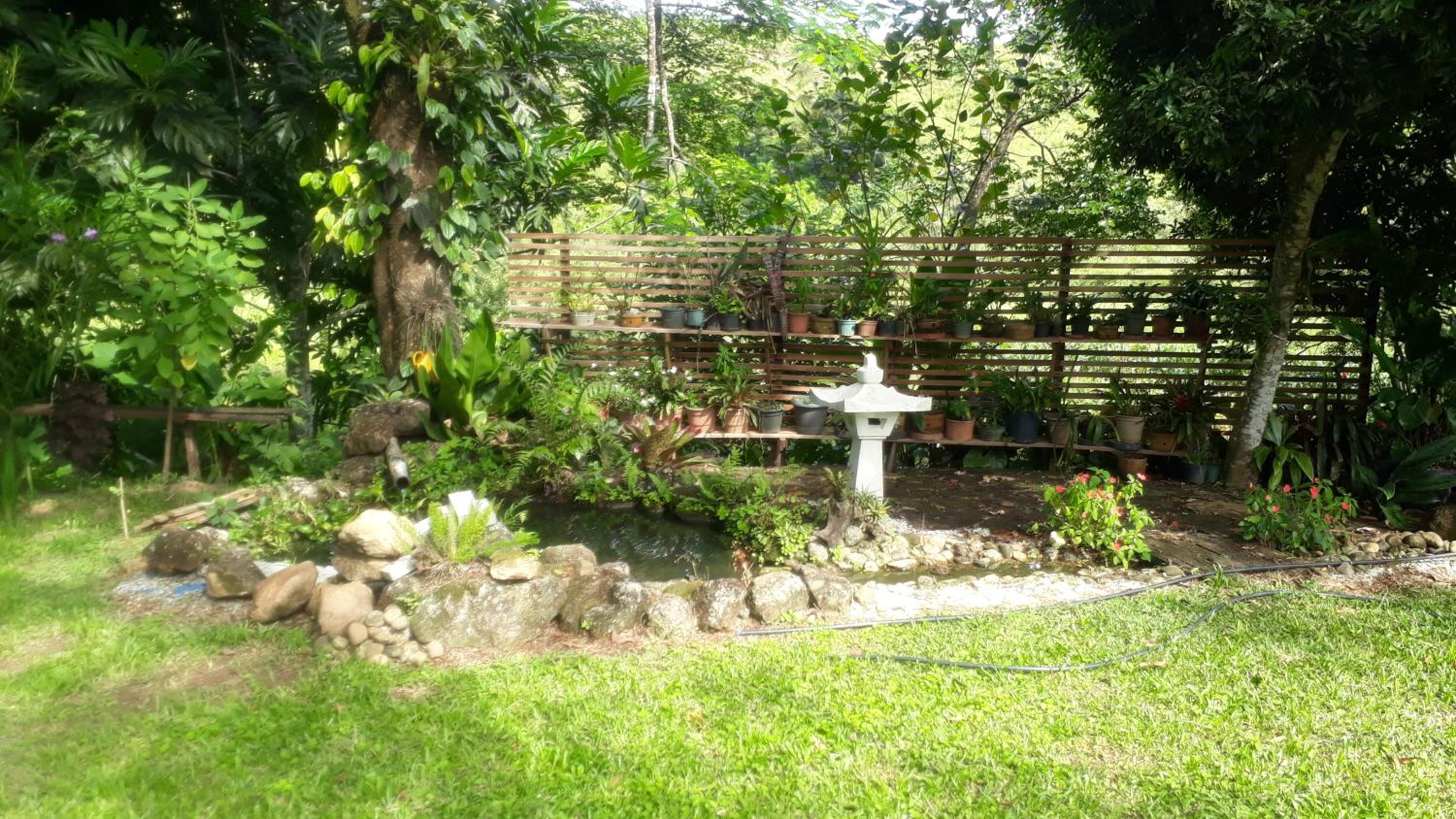 Sítio com piscina, na estrada de Aldeia Velha e rio a frente da porteira