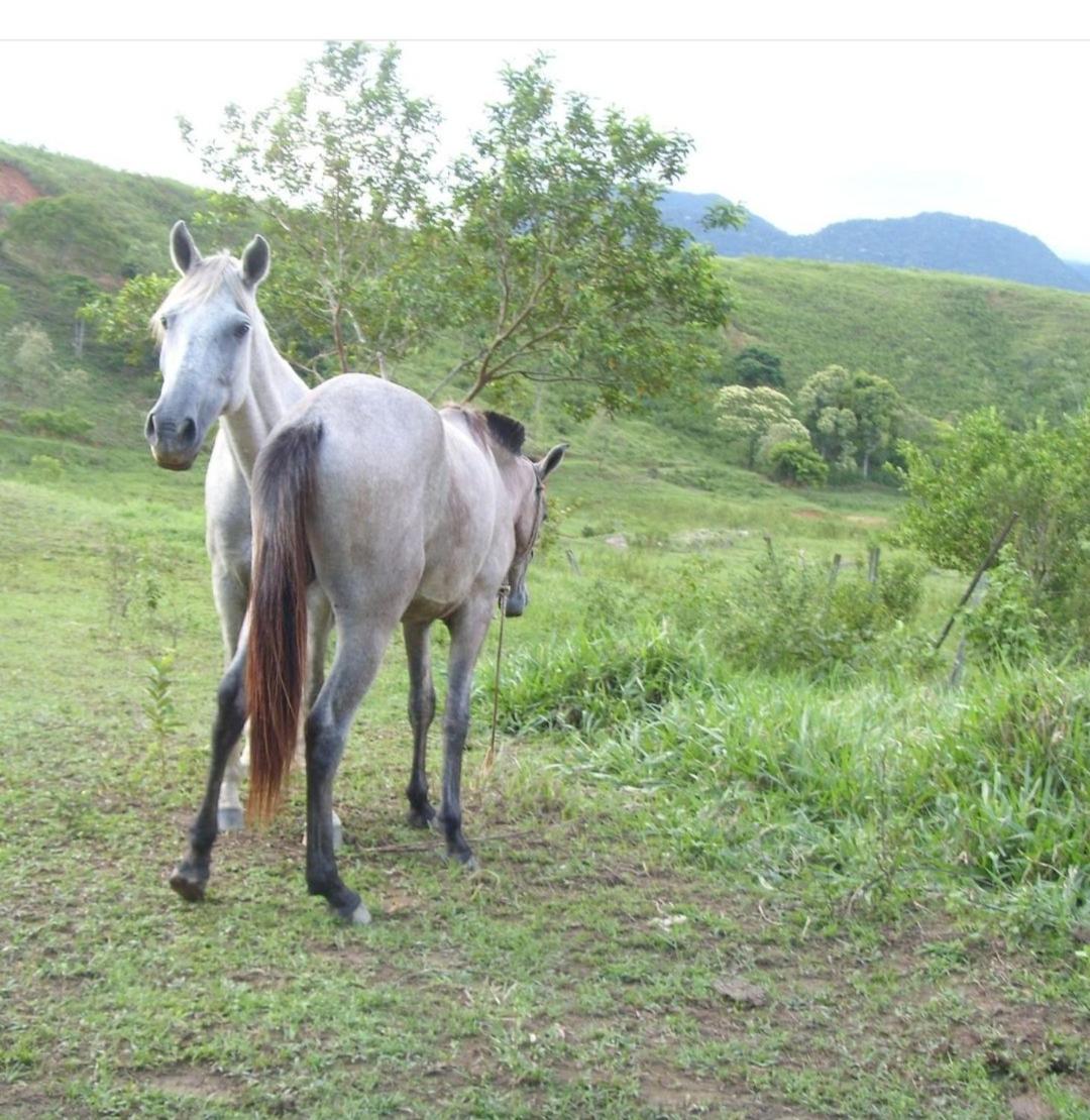 Sítio com piscina, na estrada de Aldeia Velha e rio a frente da porteira