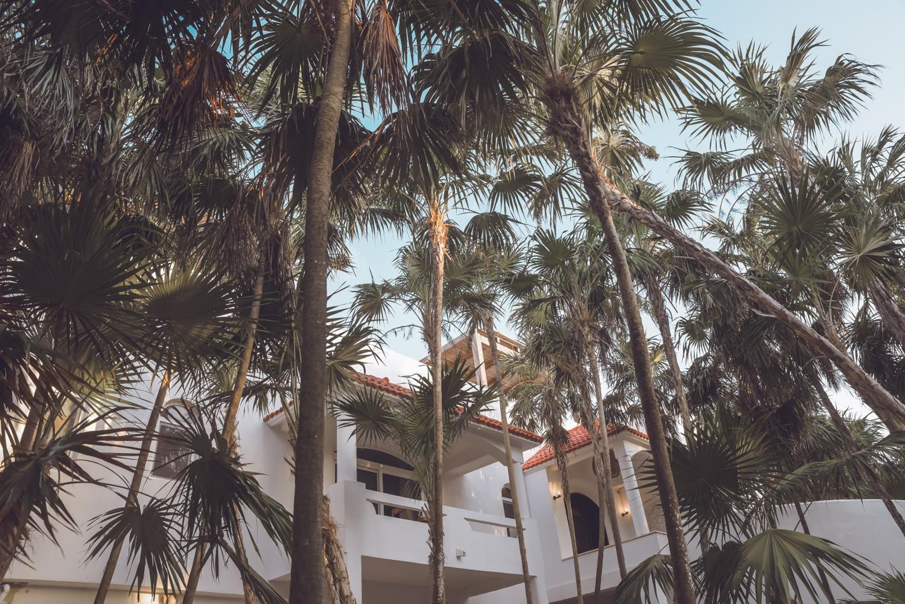 Villa Destiny Tulum beach front luxury villa view 5