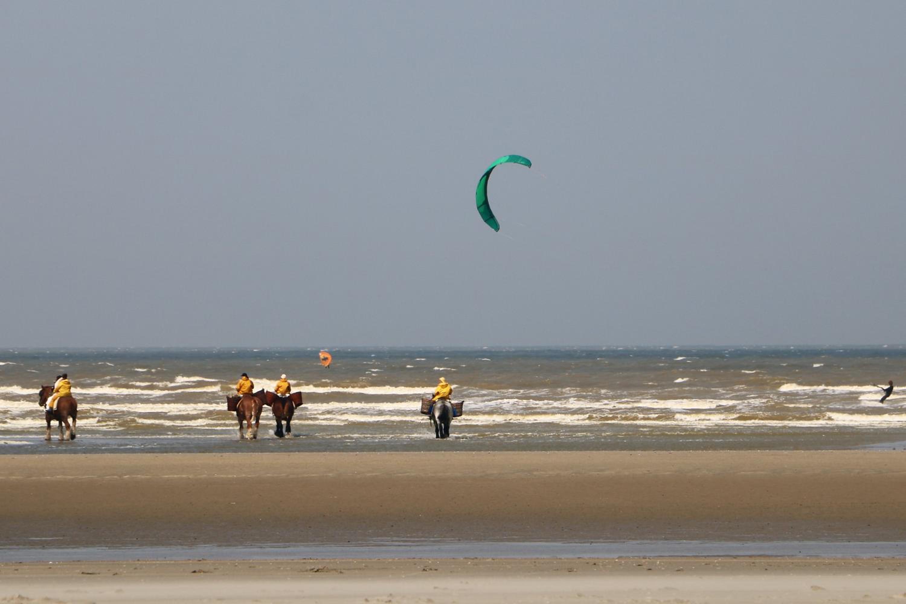 Noble dune