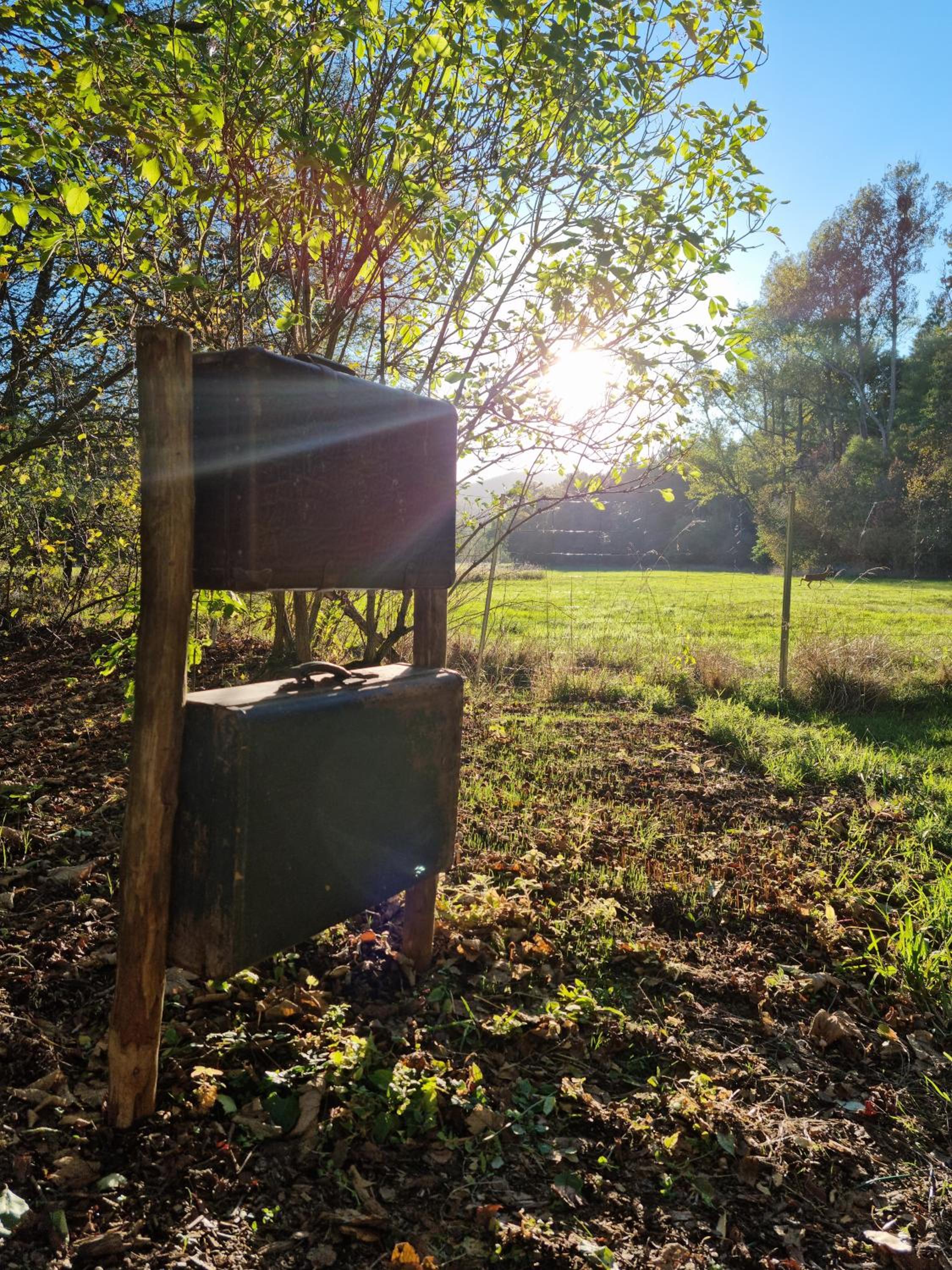 Ferienhaus Rehblick - direkt in der Natur, mit Lesezimmer und zwei Terrassen