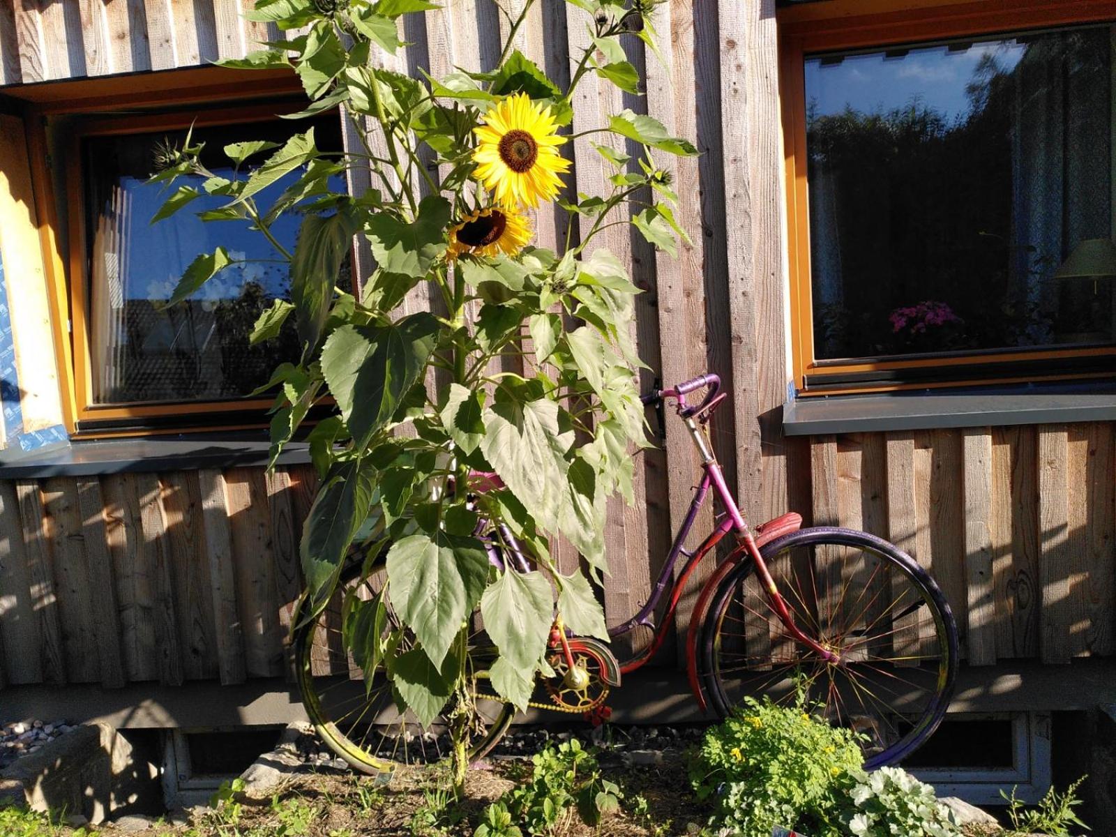 Bioferienhaus Westerwald