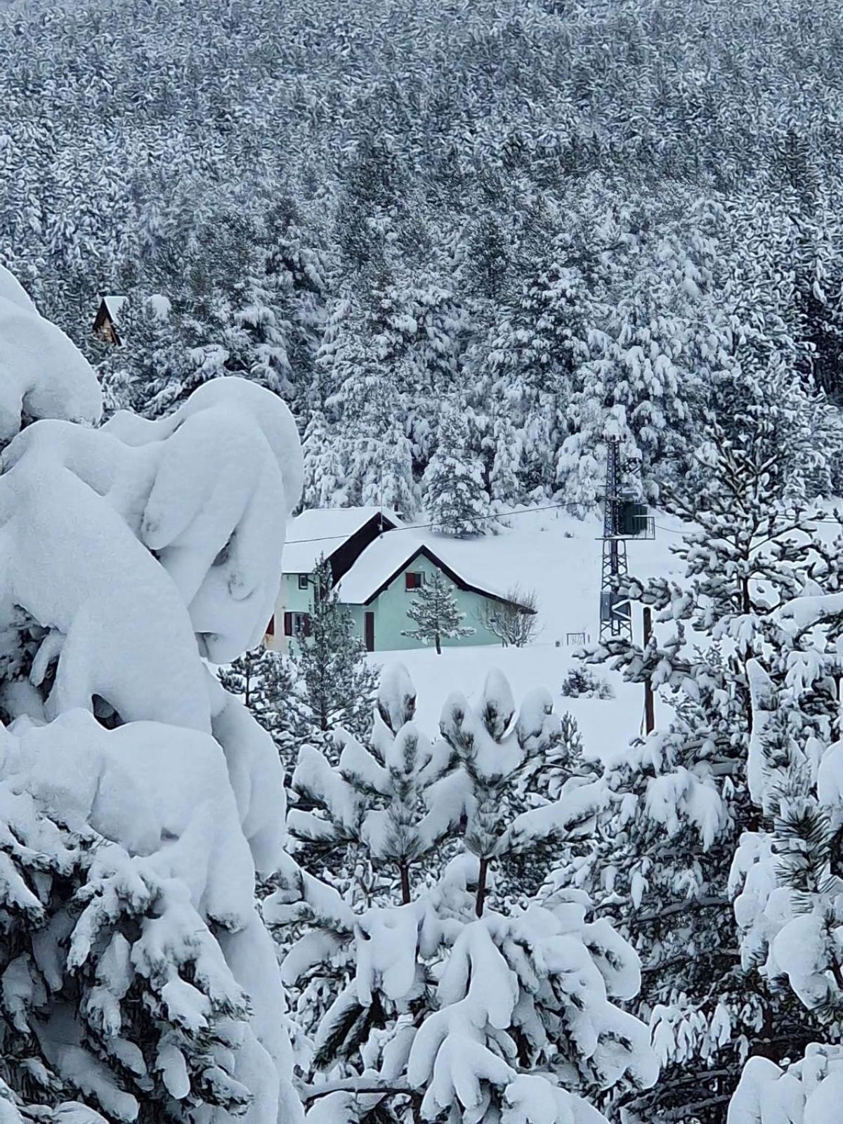 Green cottage