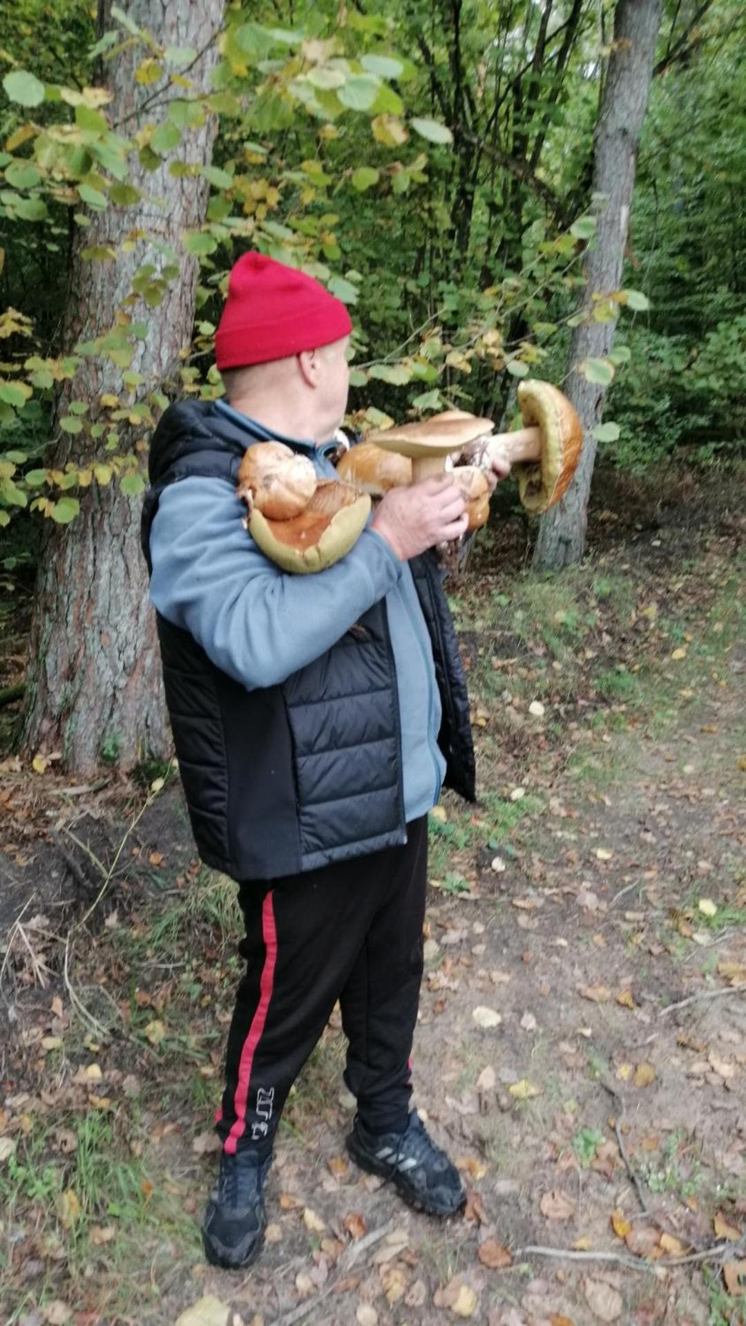 Photo 33