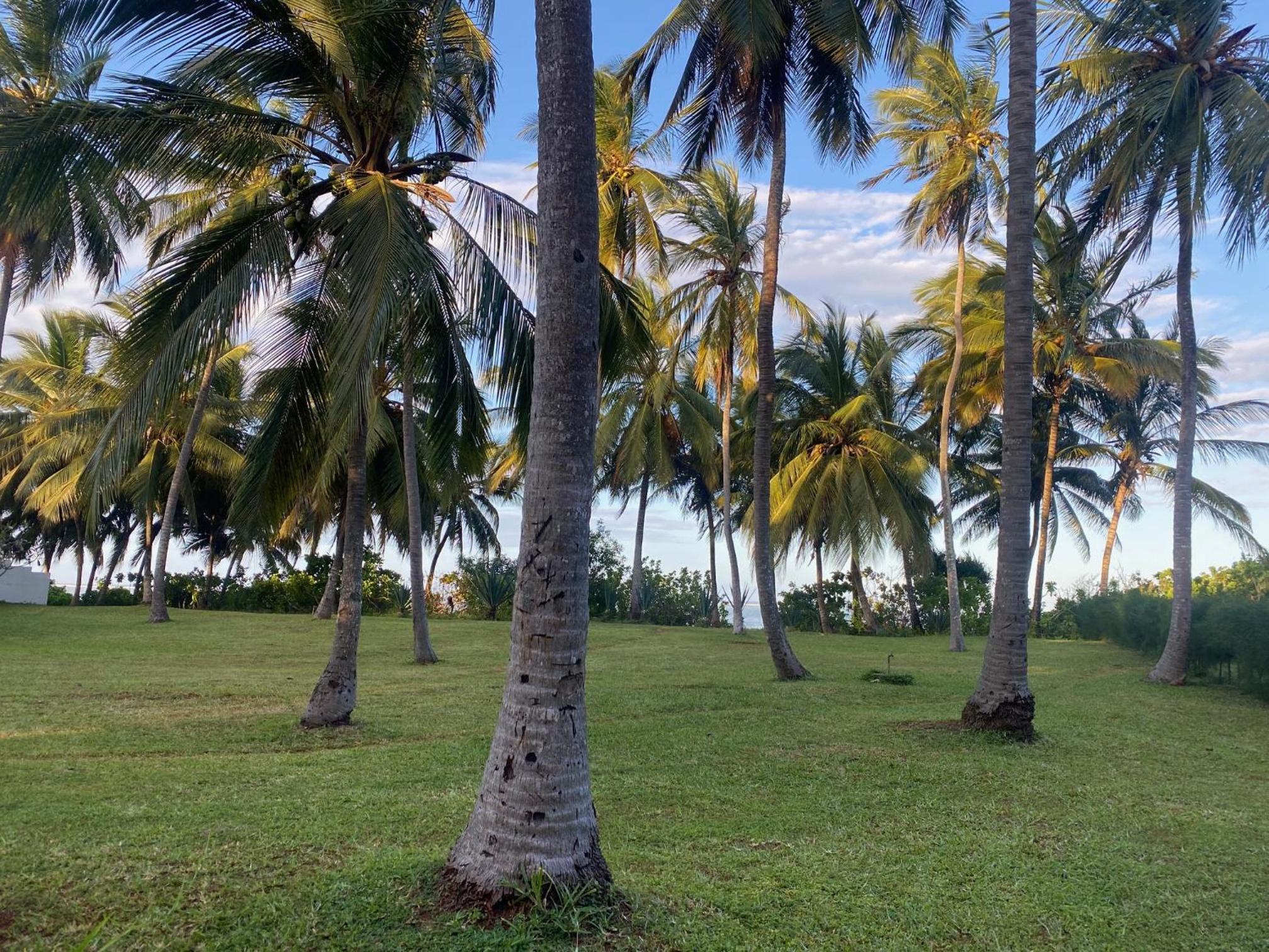 Garden Beach Apartment Zanzibar view 2
