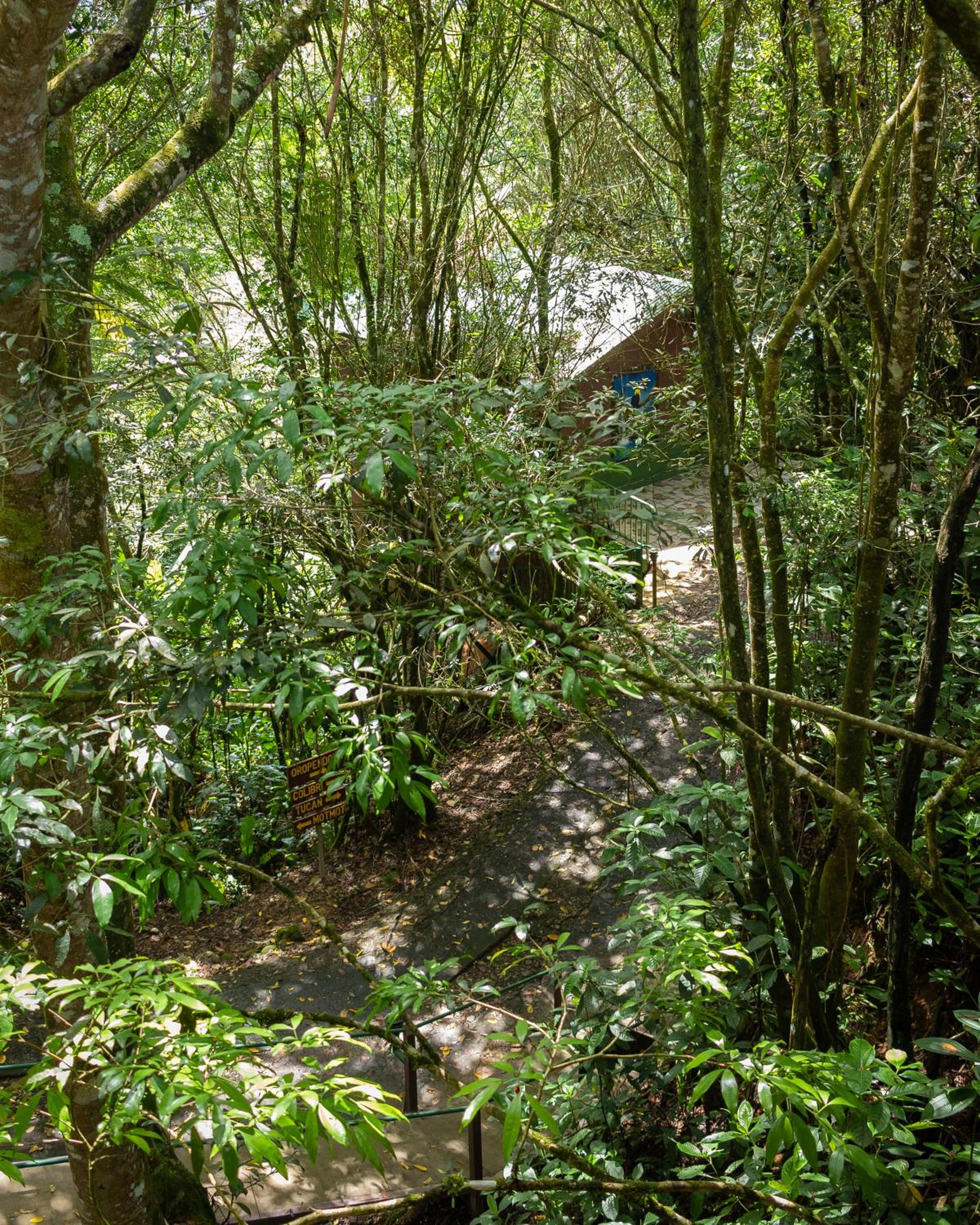 Photo 47