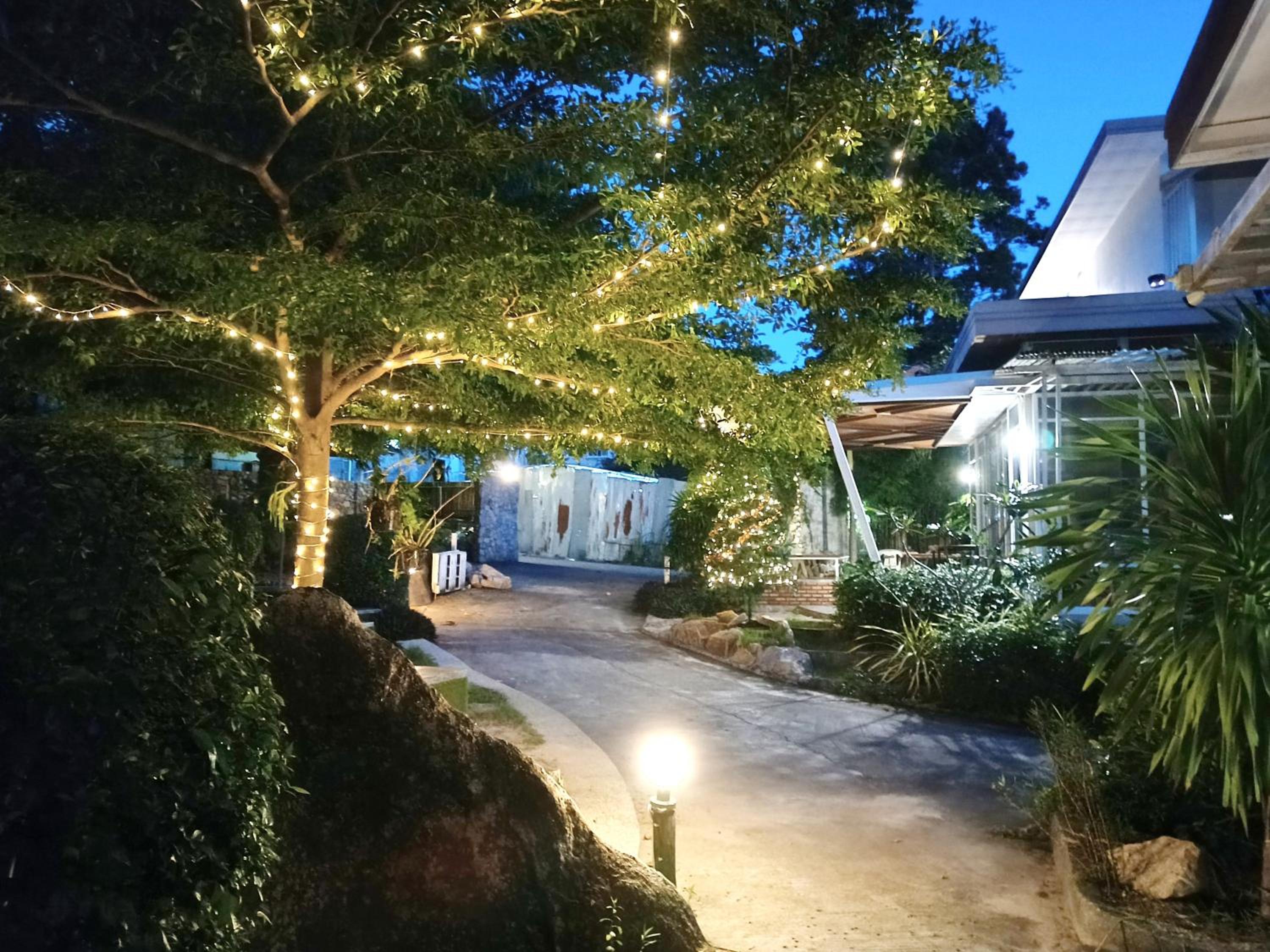 Field-D House