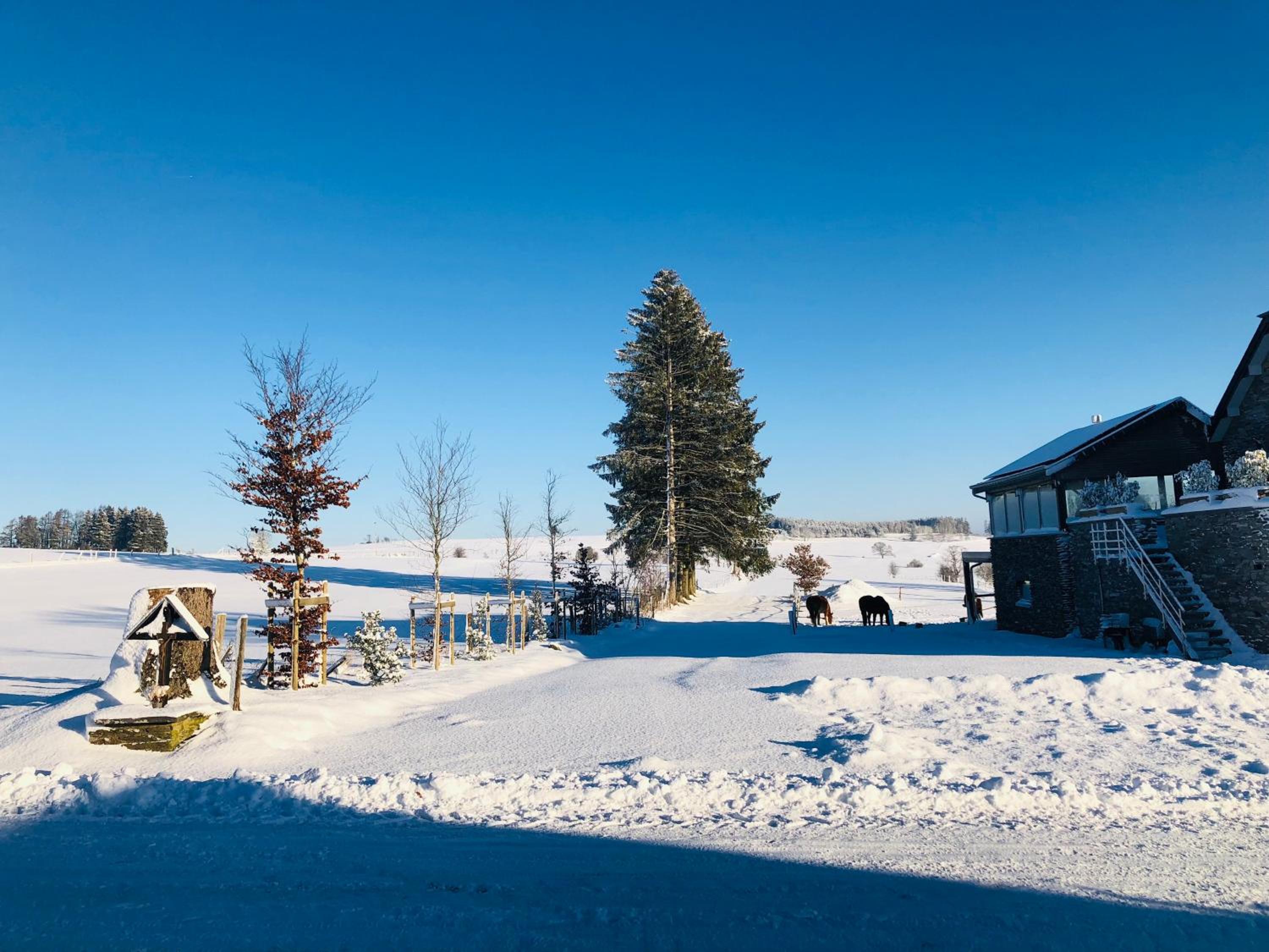 B&B Pegasus II - Chambre familiale de luxe avec sauna privatif et coin repas